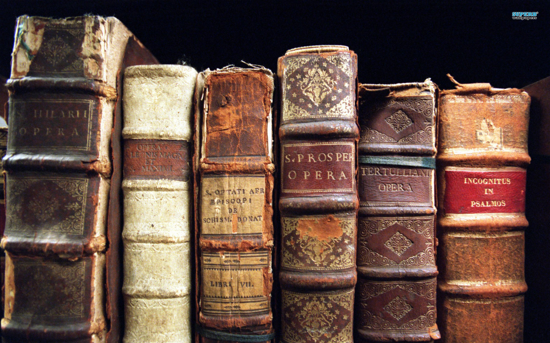 Libri antichi, Dorsi, Rilegatura in pelle, Opera, 16:10 Full HD, sfondo widescreen