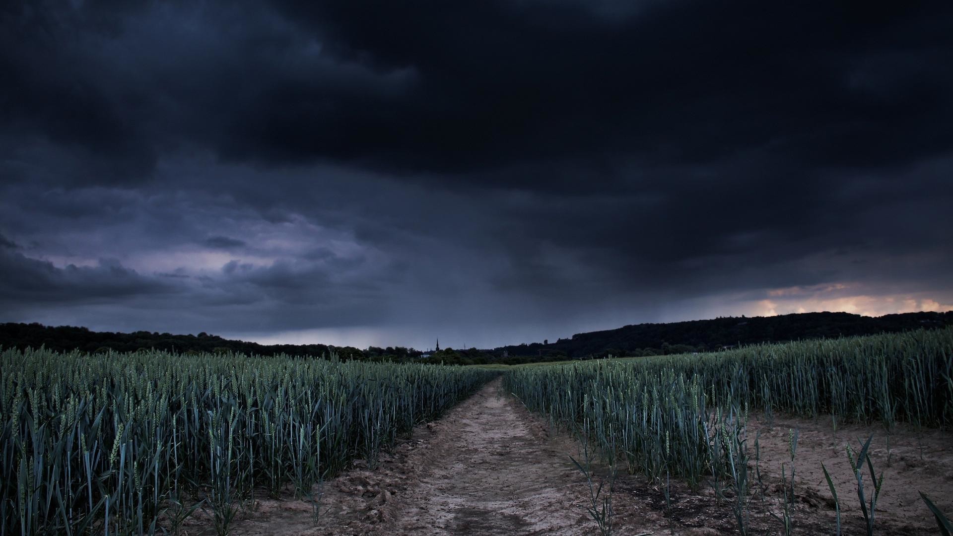 Temporale, Campo, Sentiero, Nuvole scure, 1920x1080, immagine di sfondo