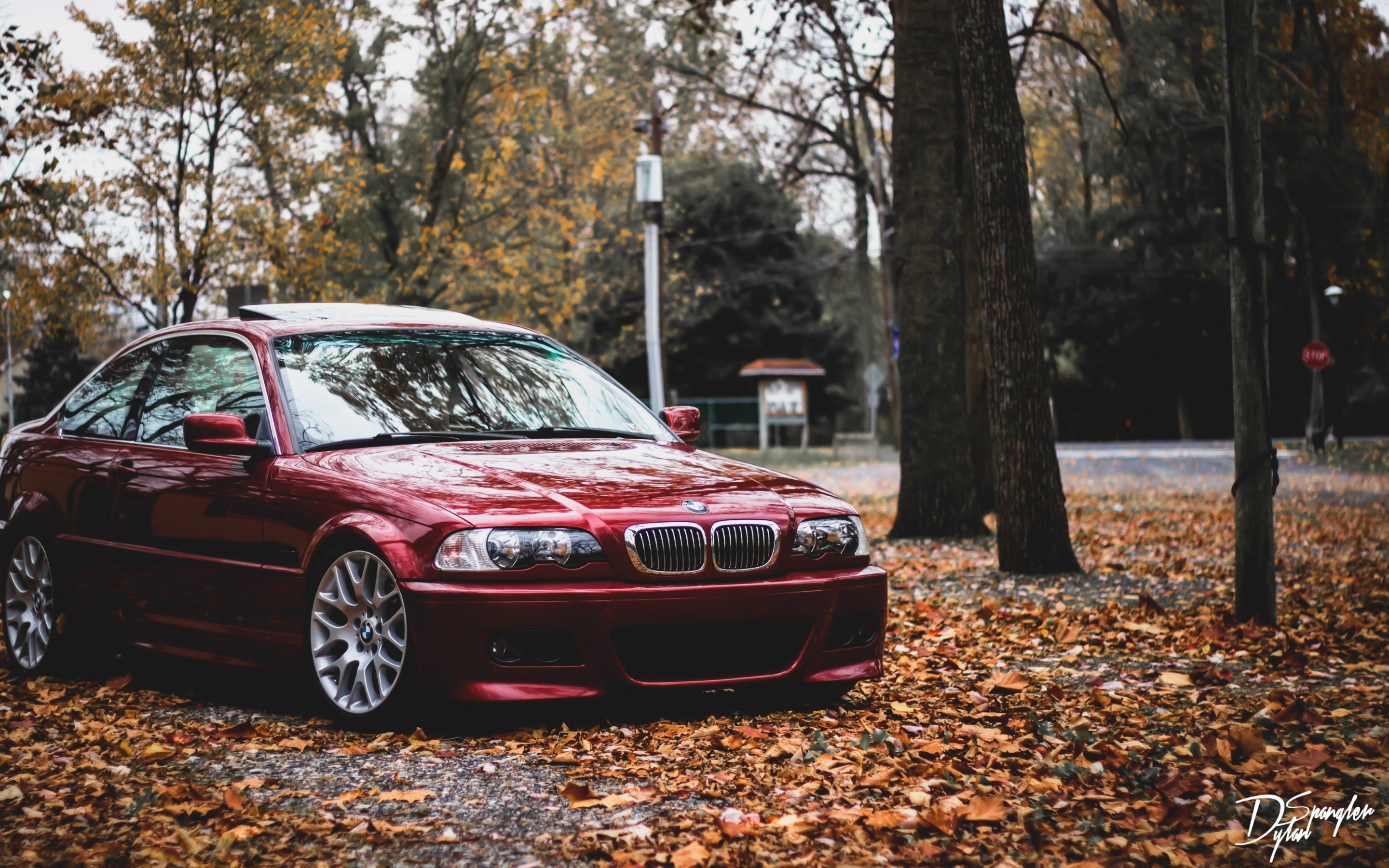 BMW Serie 3 (E46), BMW, Rosso, Autunno, Foglie, 2880x1800, immagine di sfondo