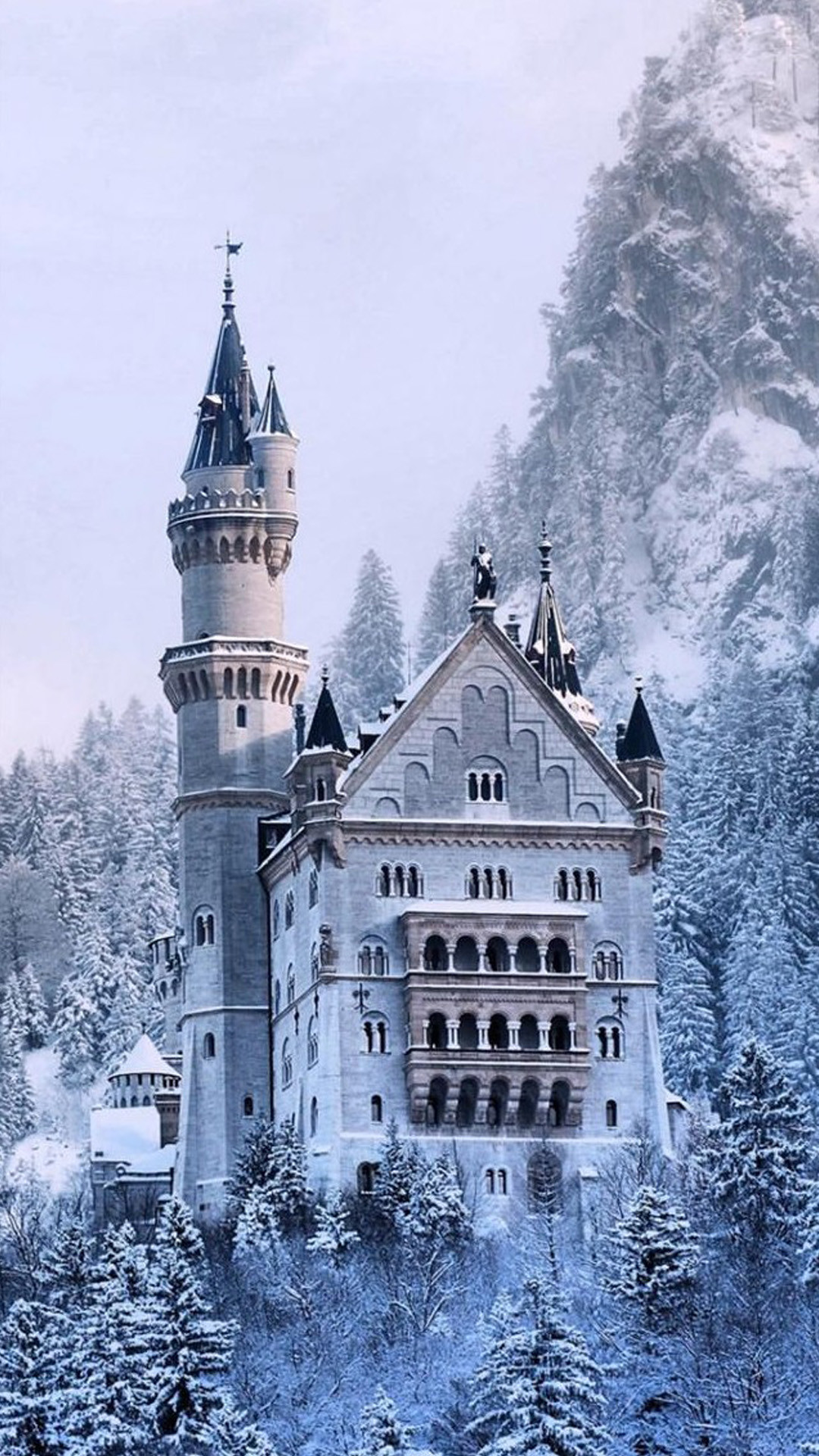 Castello di Neuschwanstein, Baviera, Germania, Neve, Inverno, 1080x1920, schermata di blocco iPhone