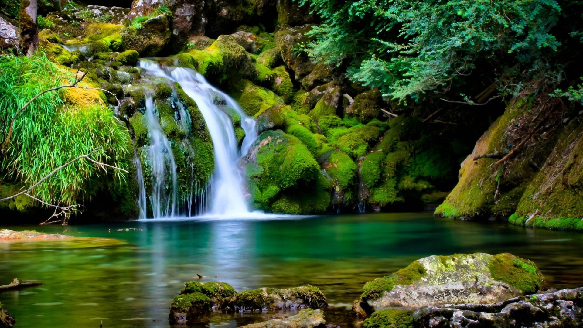 Cascata, Muschio, Laghetto, Rocce, 1920x1080, immagine di sfondo