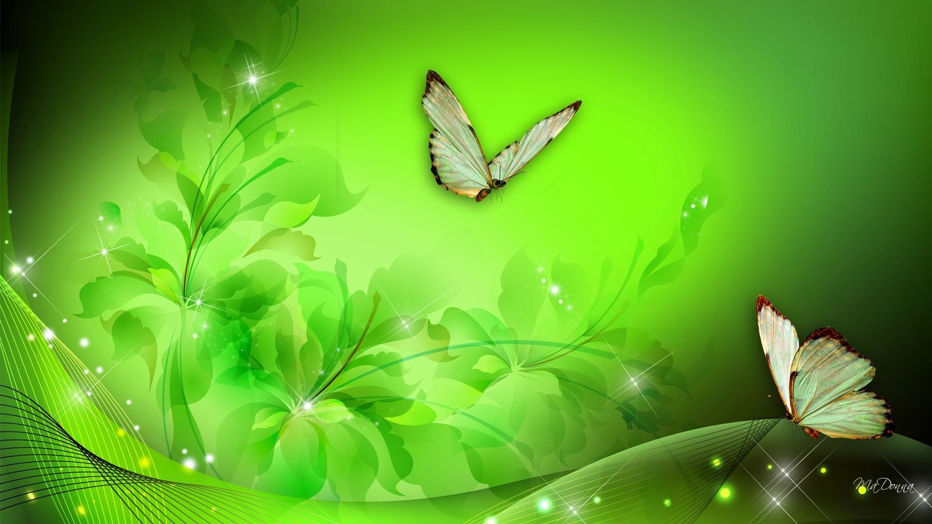 Farfalle, Motivi floreali, Verde, 1920x1080, immagine di sfondo