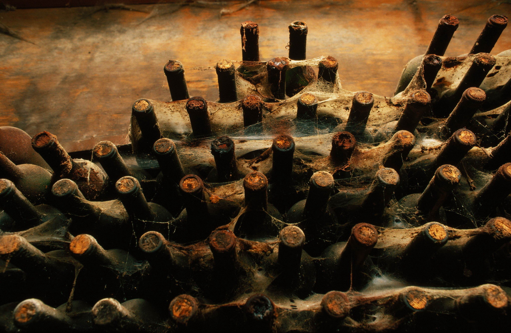 Bottiglie antiche, Cantina, Polvere, Invecchiamento, Full HD, sfondo per portatile