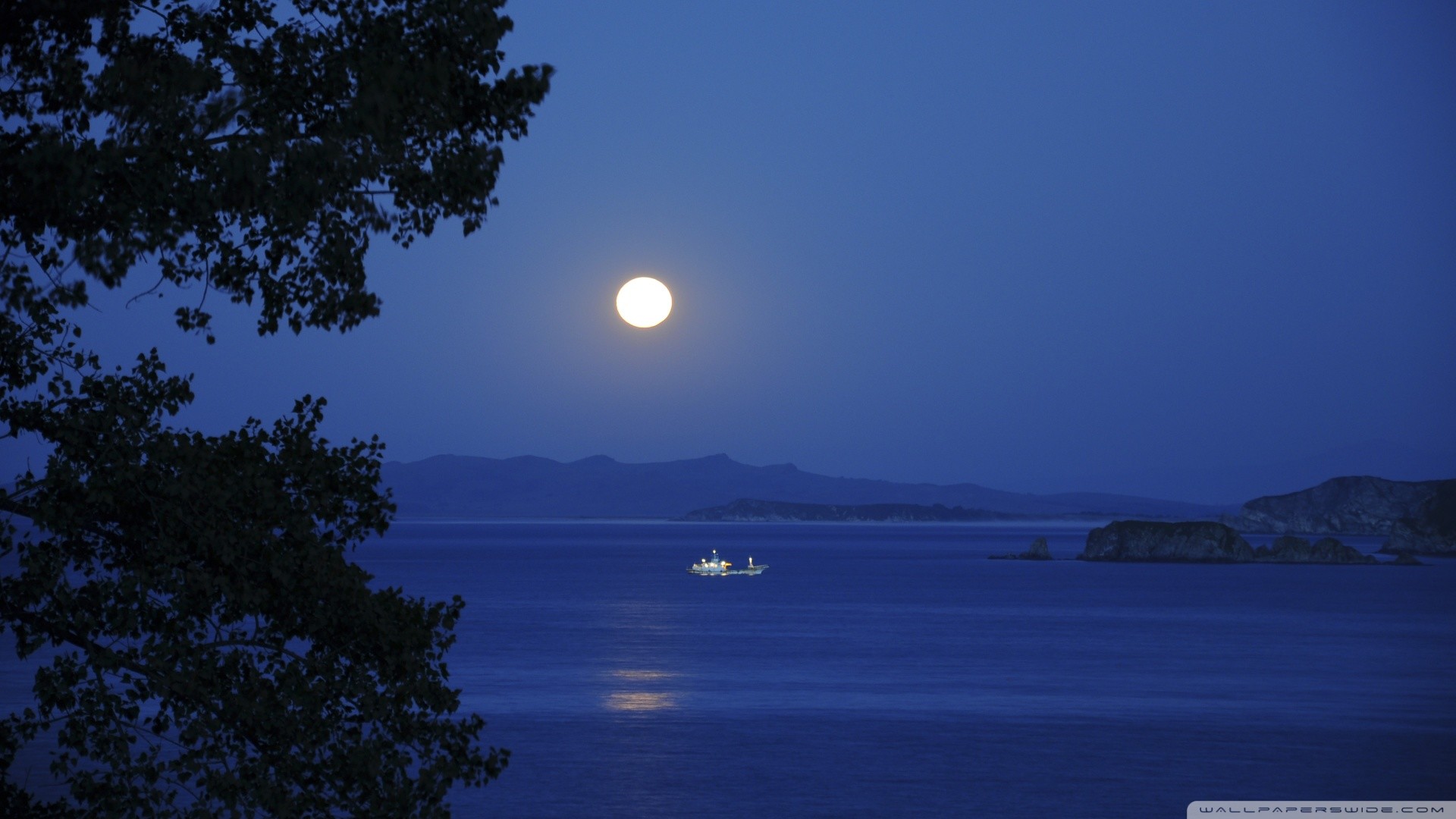 Luna piena, Mare, Barca, Notte blu, Full HD, sfondo per portatile