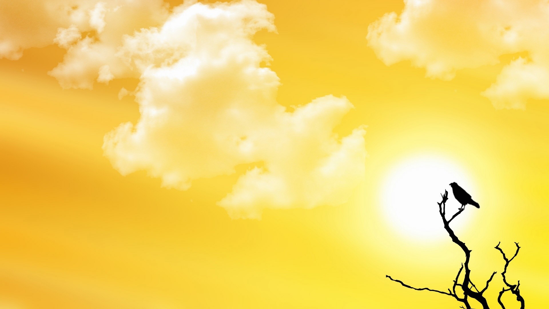 Sole, Nuvole, Uccello, Silhouette, Cielo giallo, 16:9 Full HD, sfondo widescreen