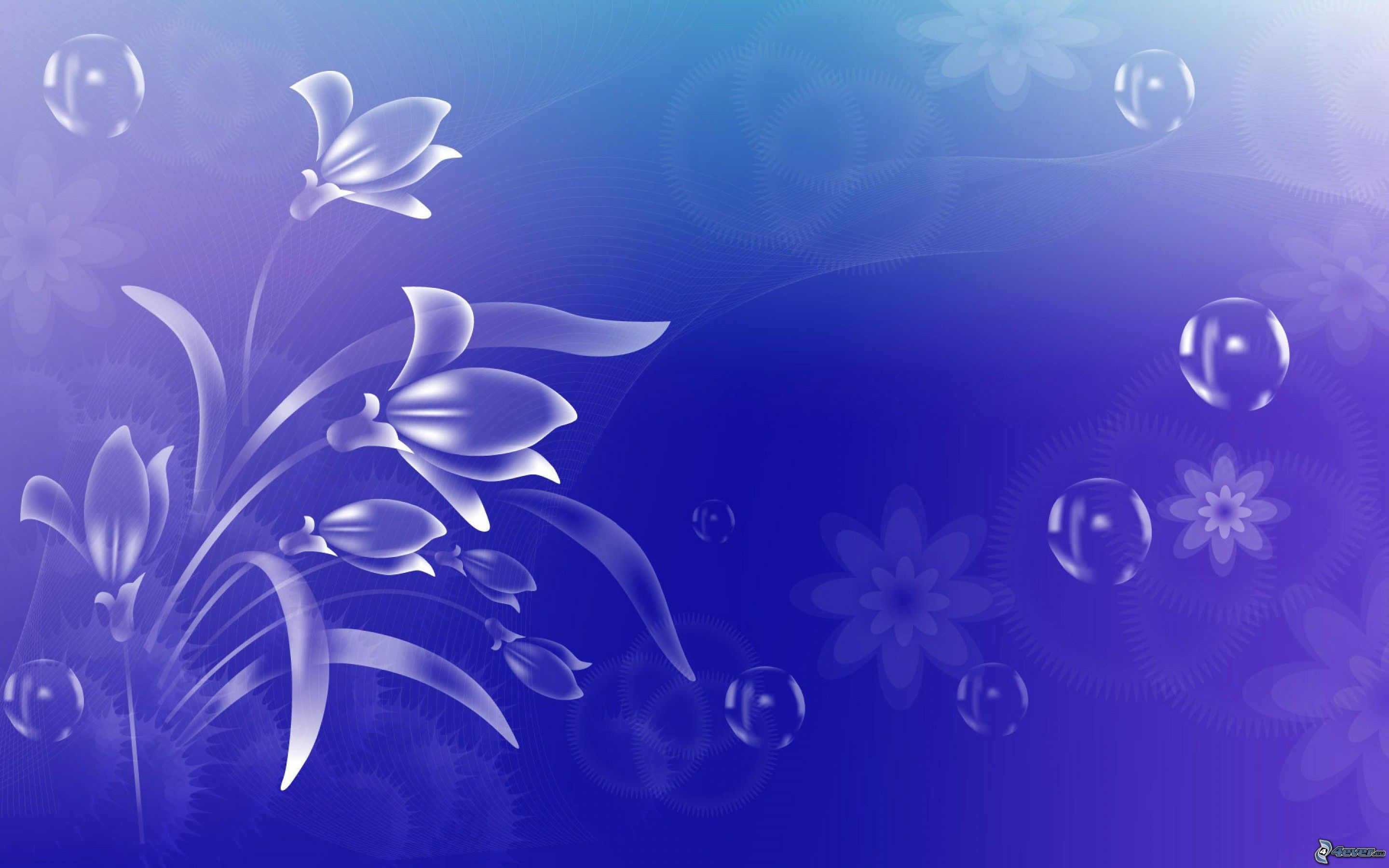 Bolle, Fiori stilizzati, Viola, Astratto, 2K, sfondo per PC