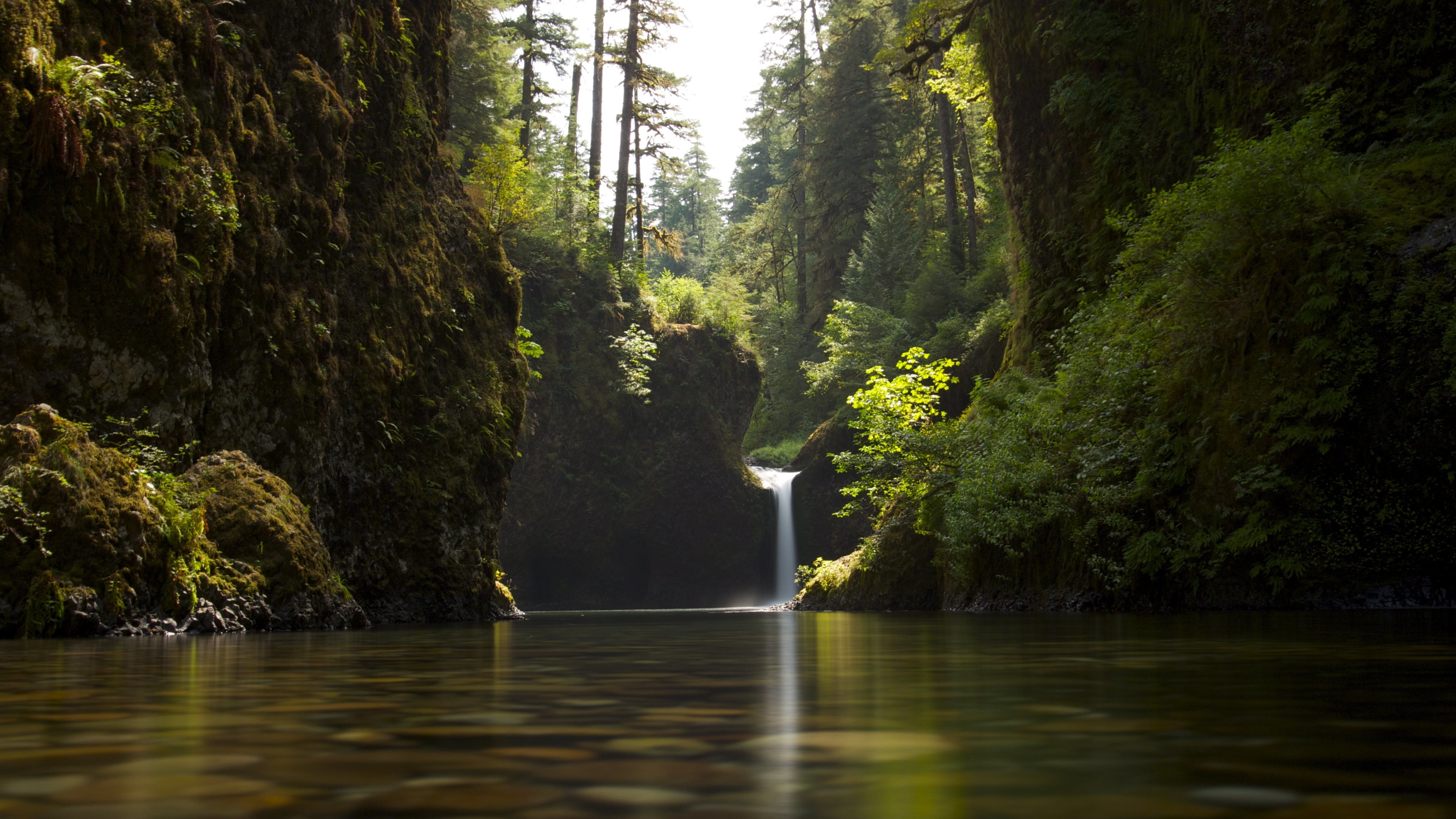Cascata, Foresta, Canyon, Fiume, sfondo desktop PC