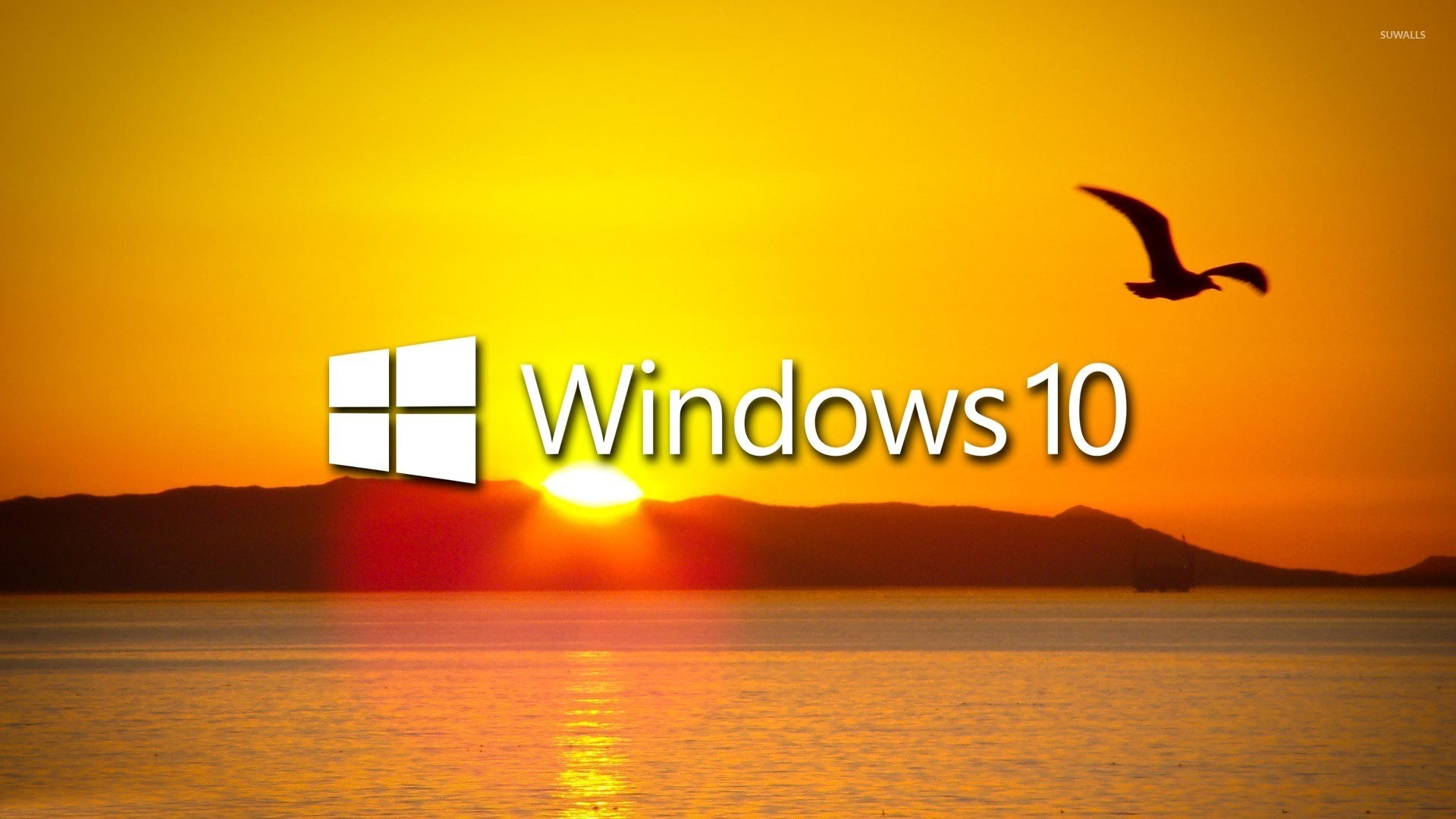 Windows 10, Logo Windows, Tramonto, Gabbiano, Mare, Full HD, sfondo per PC e portatile