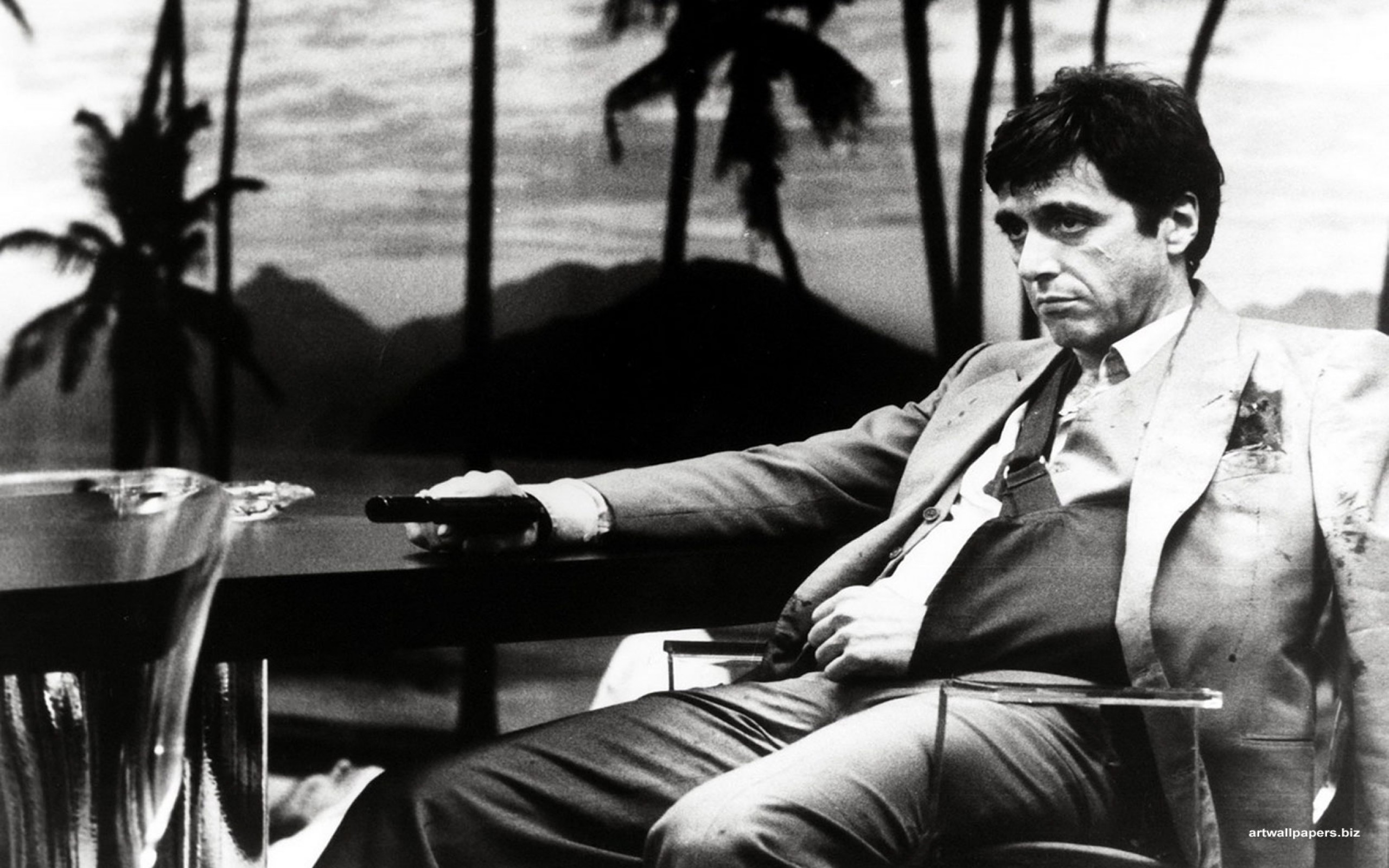 Tony Montana, Al Pacino, Scarface, Palme, Bianco e nero, 2560x1600, immagine di sfondo