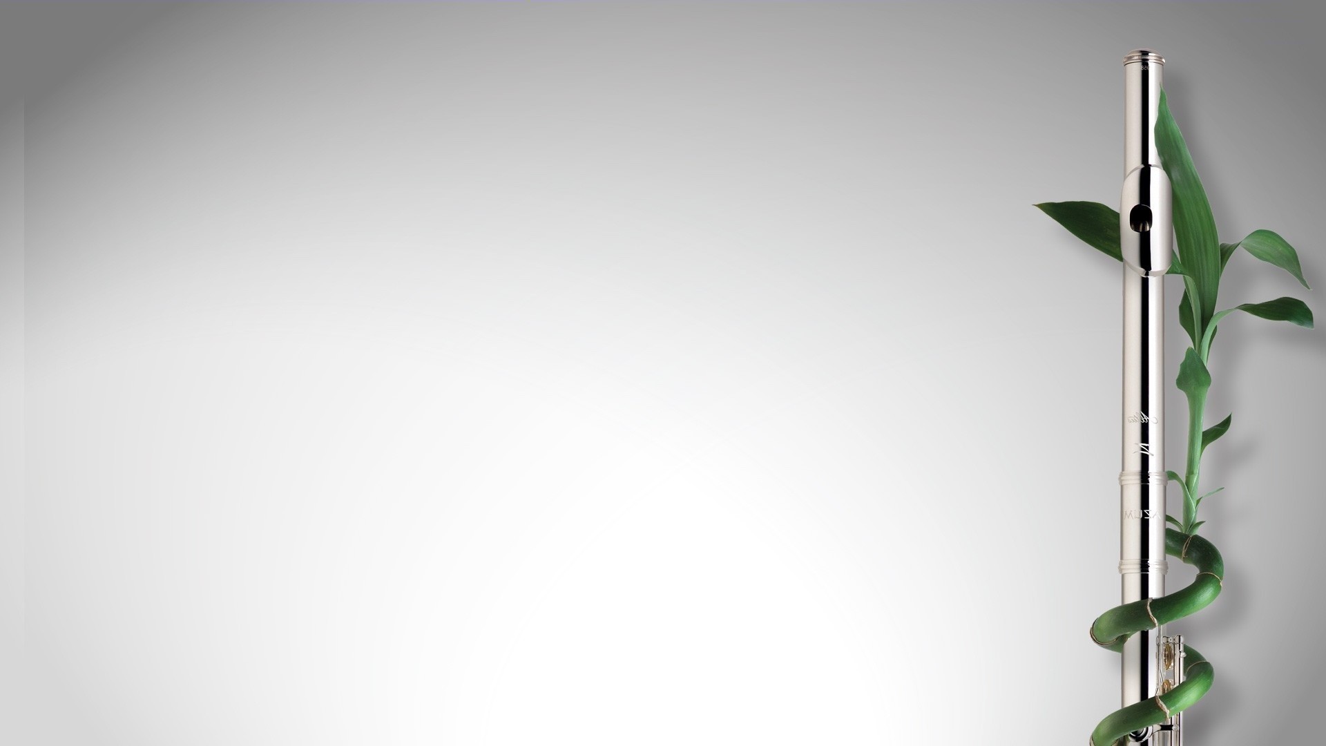 Bambù della fortuna, Grigio, Minimalismo, 1920x1080, immagine di sfondo