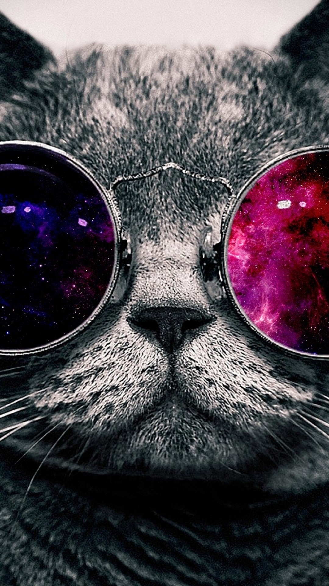 Gatto, Occhiali da sole, Galassia, Bianco e nero, sfondo per iPhone e Android