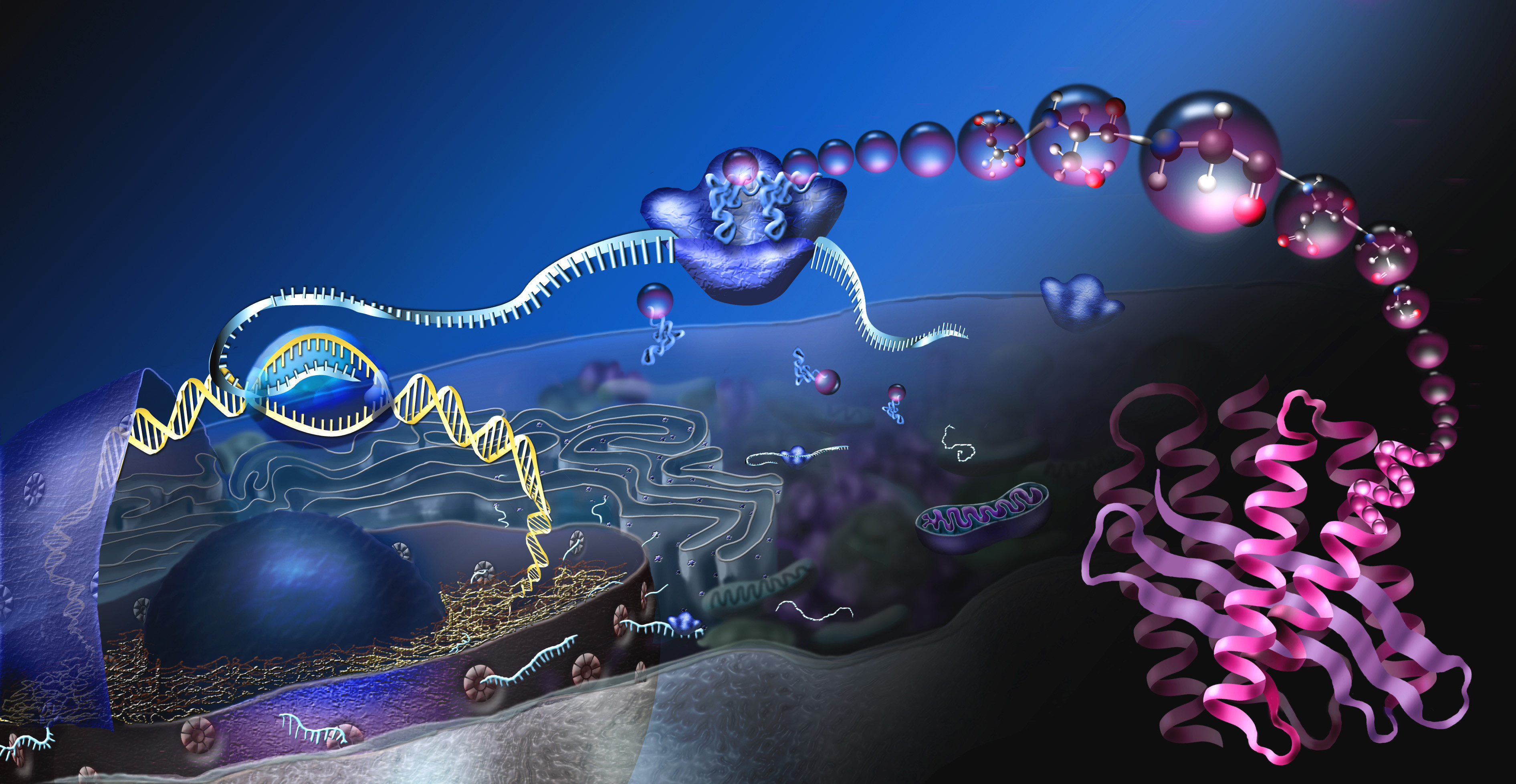 Biologia molecolare, DNA, Proteine, Cellula, Illustrazione, 2K, sfondo desktop