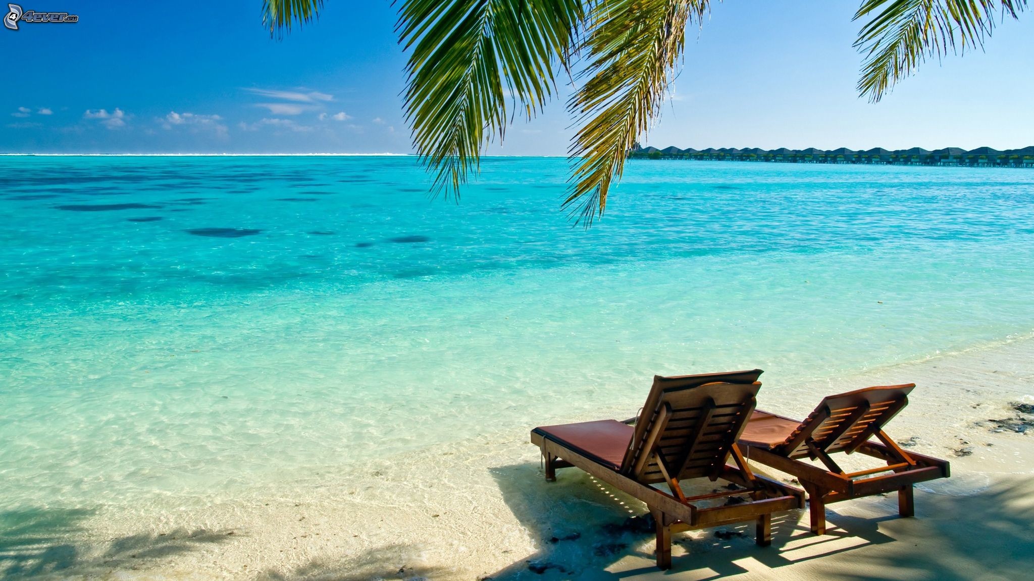 Sdraio, Spiaggia, Palme, Acqua turchese, 16:9 Full HD, sfondo widescreen