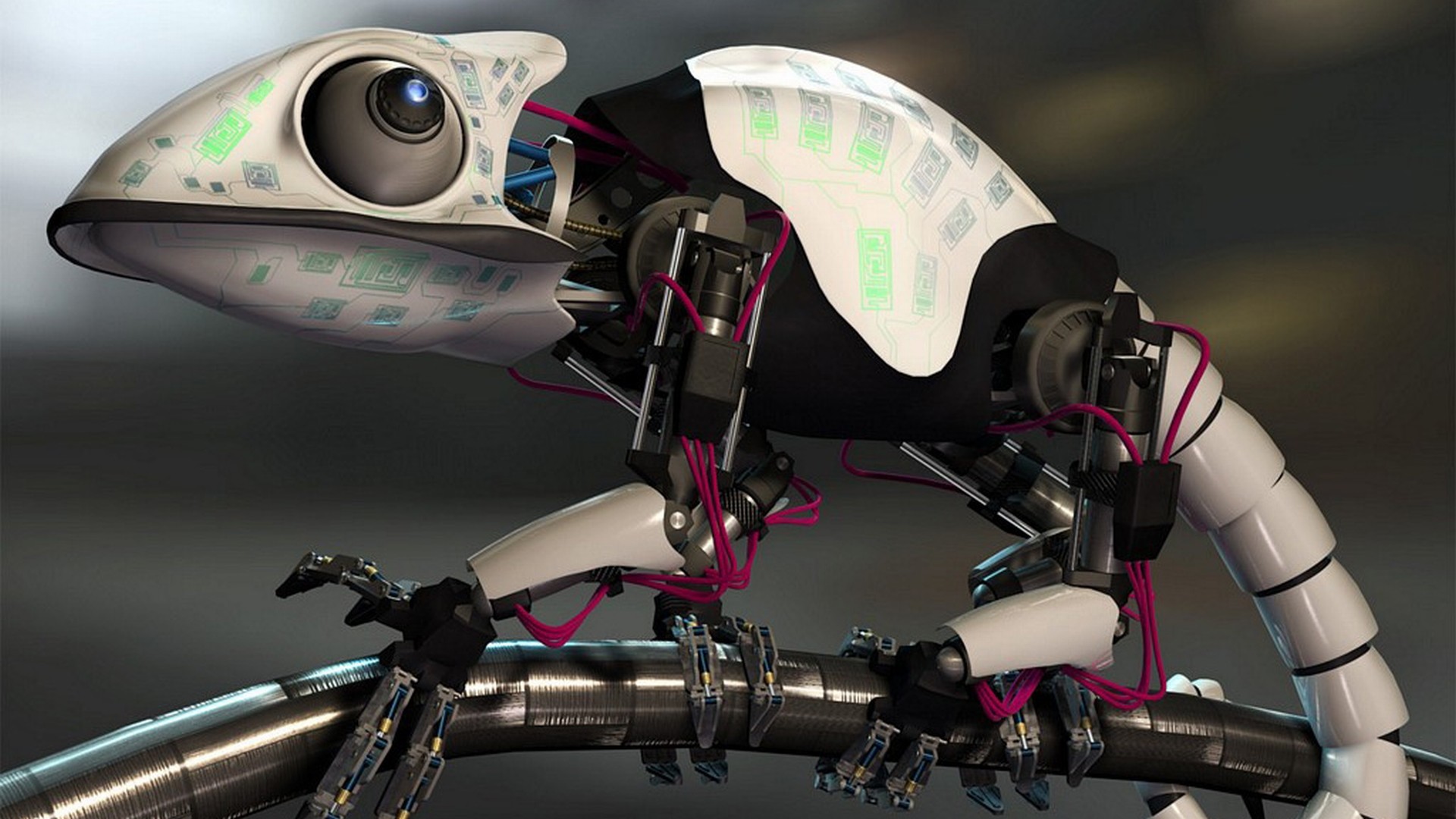 Camaleonte robotico, Robot, Biomeccanica, Rendering 3D, Full HD, sfondo Windows 11