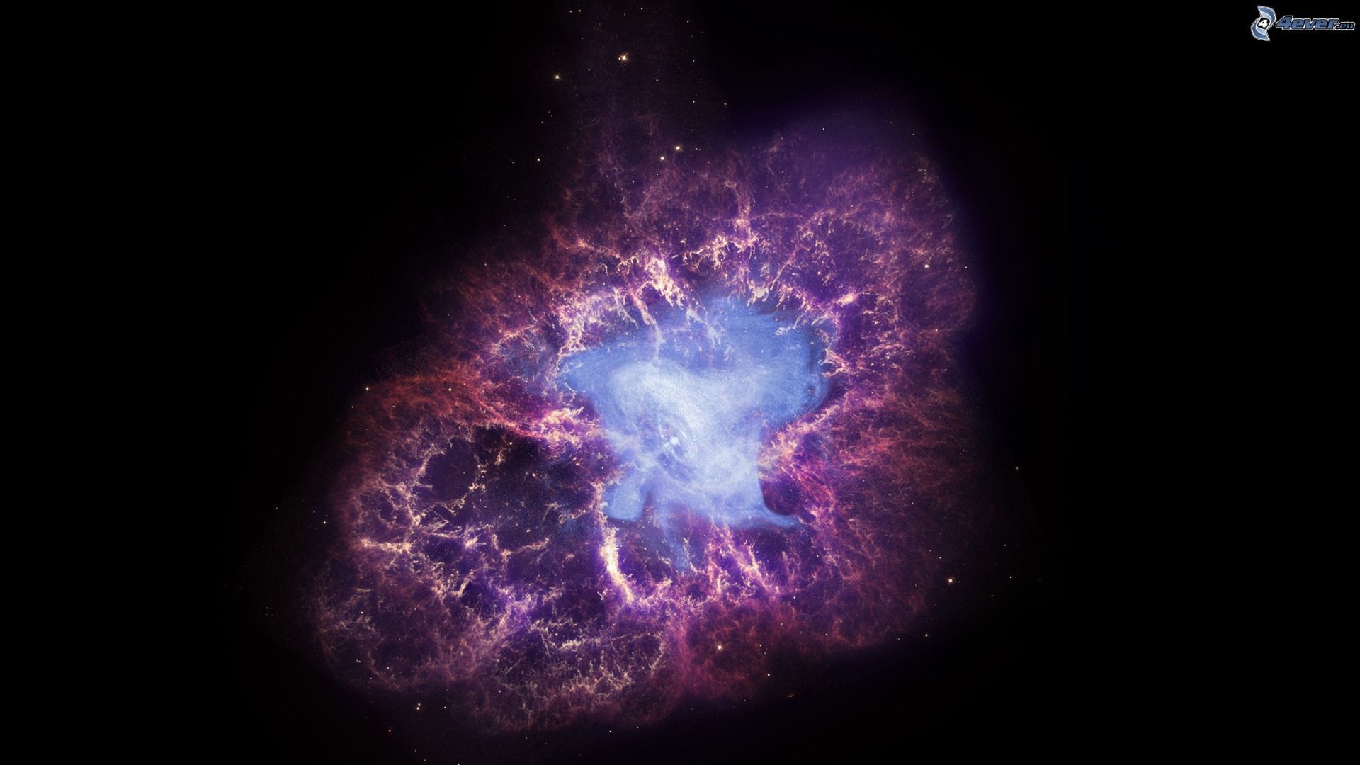 Nebulosa del Granchio, Supernova, Viola, Full HD, wallpaper desktop