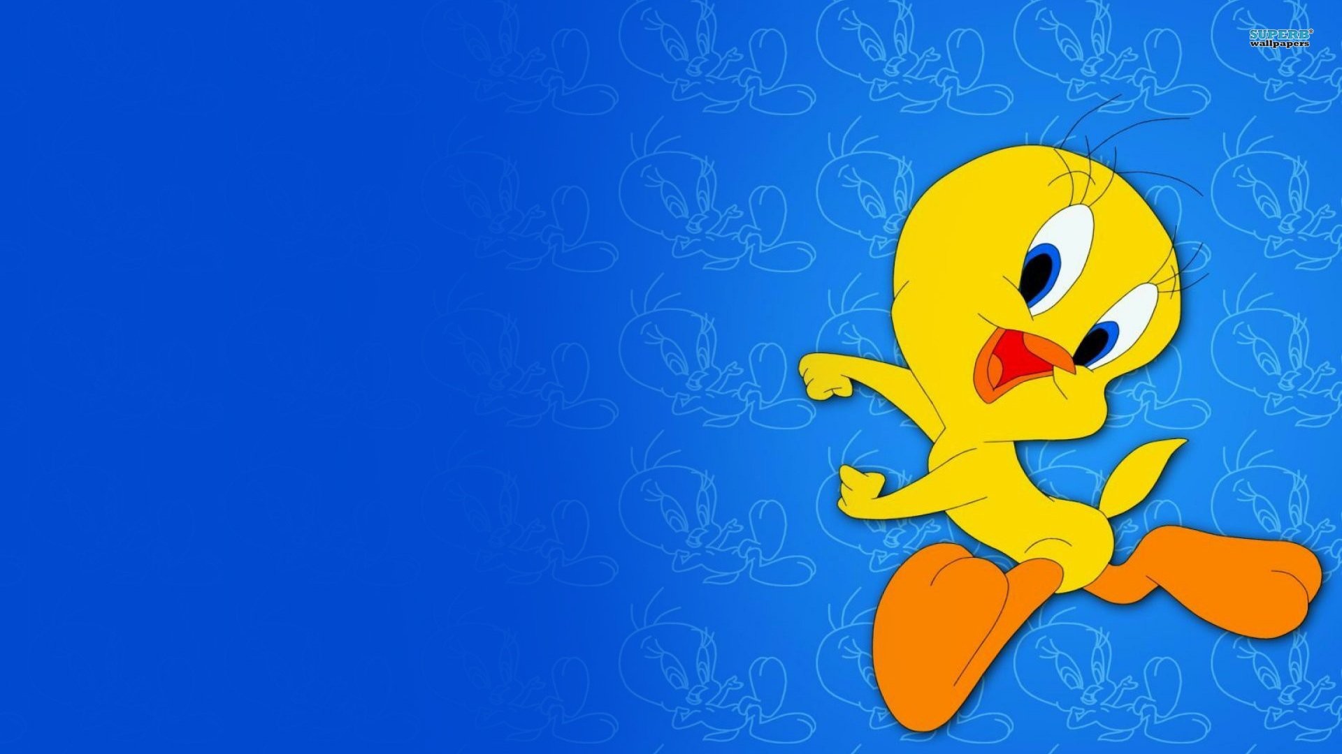Titti, Looney Tunes, Sfondo blu, Warner Bros, Full HD, wallpaper per computer