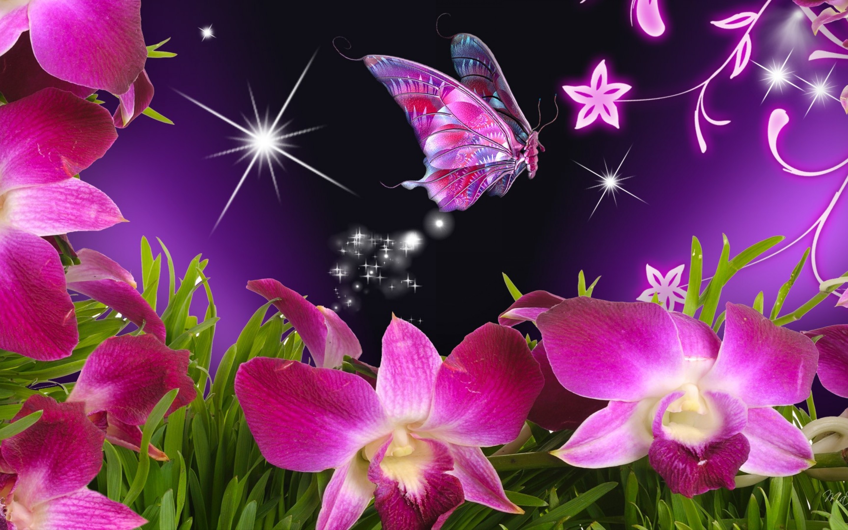 Farfalla, Orchidee, Viola, Scintille, 2K, sfondo Windows 11