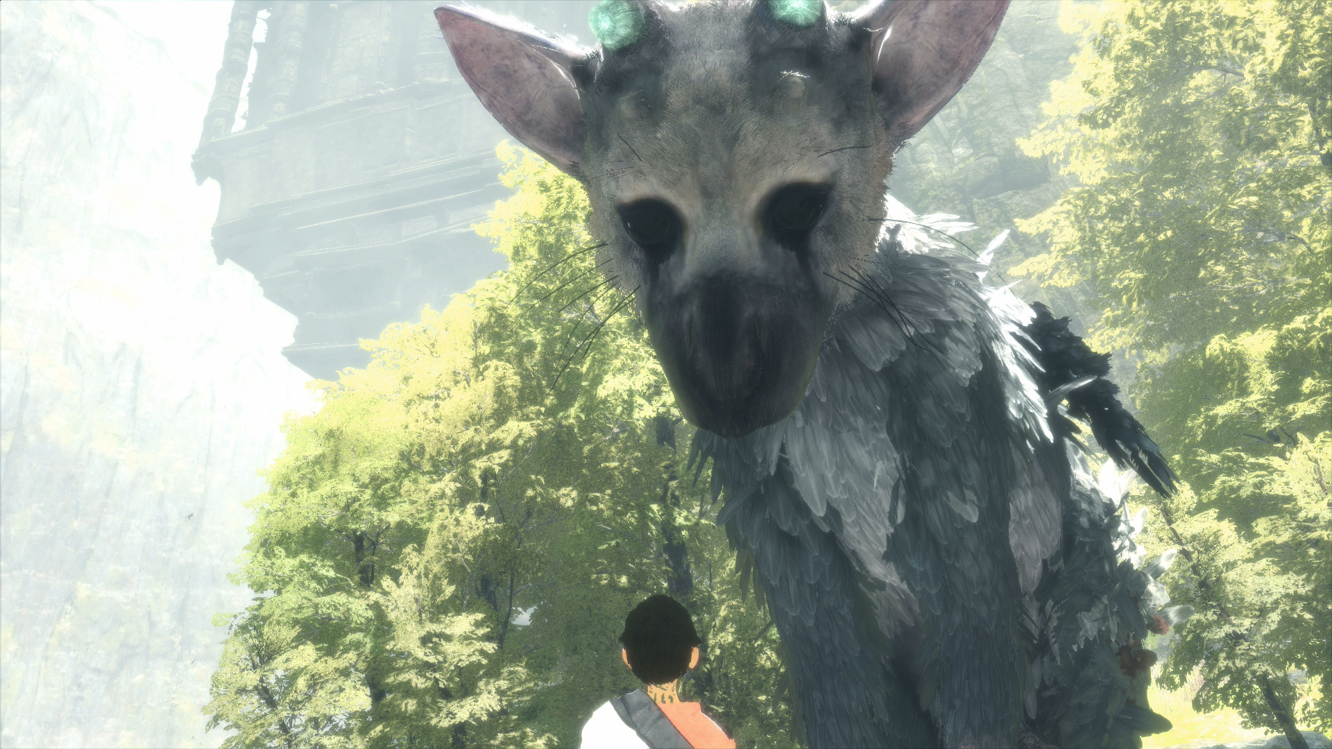Trico, The Last Guardian, Ragazzo, Alberi, 1920x1080, sfondo per PC