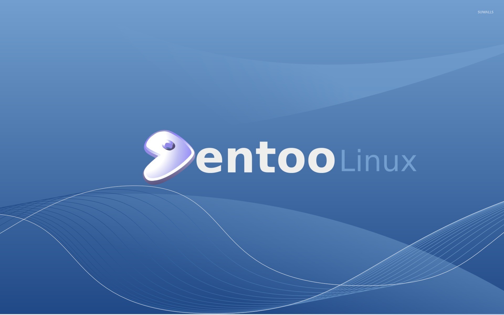 Gentoo Linux wallpaper - Computer wallpapers - #1531, Full HD, sfondo per PC