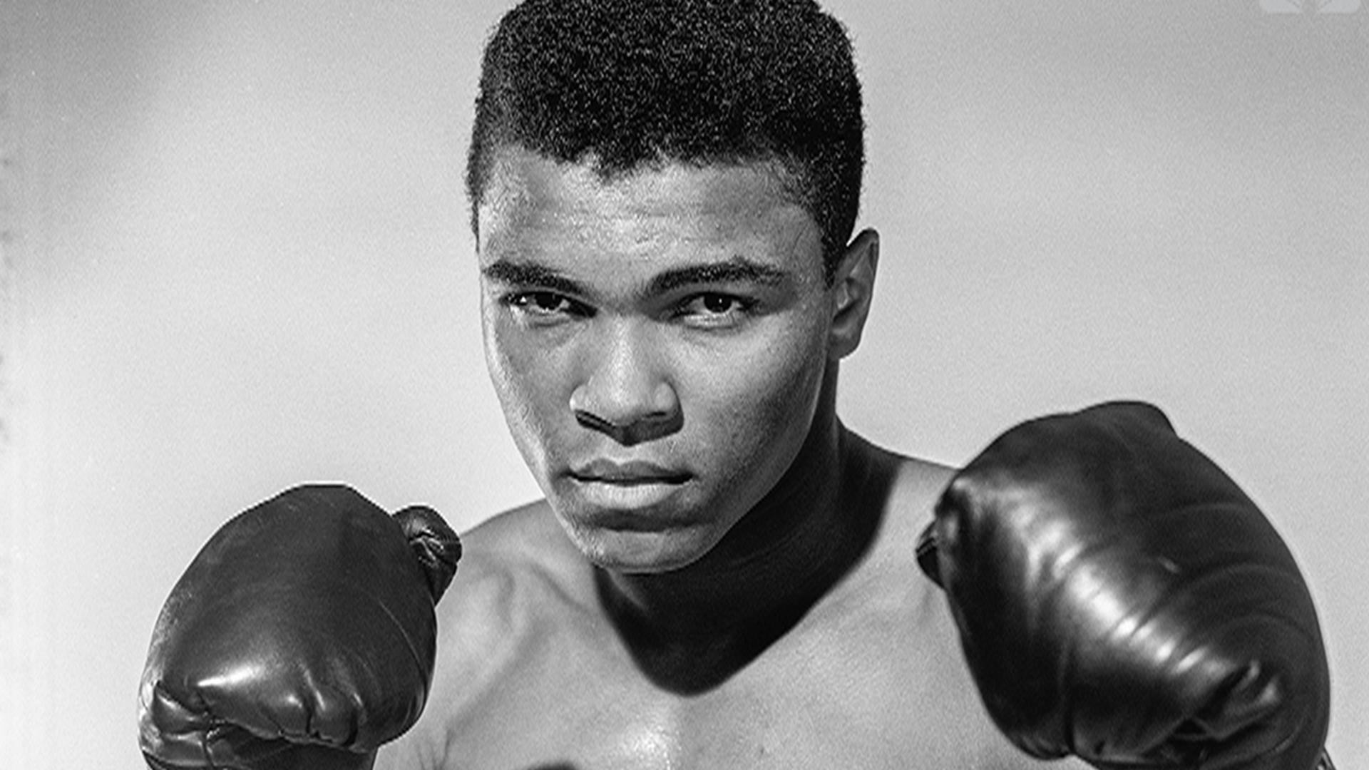 Muhammad Ali, Guantoni da boxe, Ritratto, Bianco e nero, Full HD, sfondo per PC