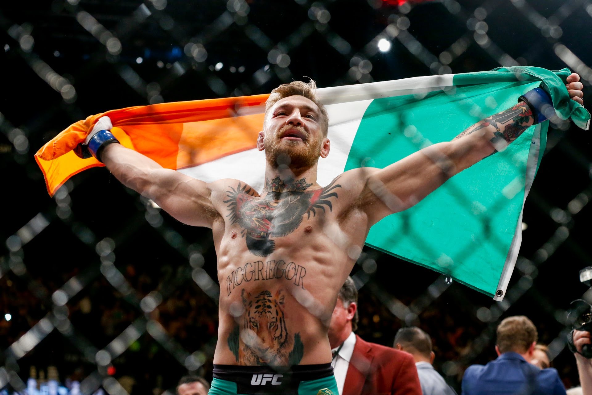 Conor McGregor, Bandiera irlandese, Vittoria, UFC, Full HD, sfondo Windows 11