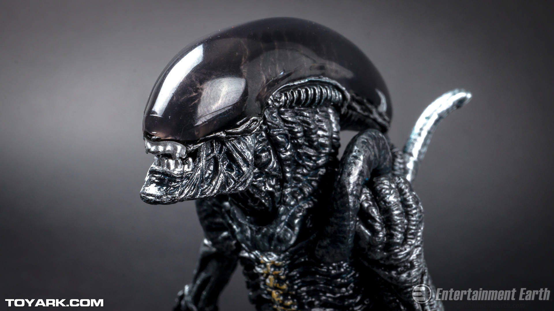 Xenomorfo, Alien, Action figure, Giocattolo, Full HD, sfondo Windows 11
