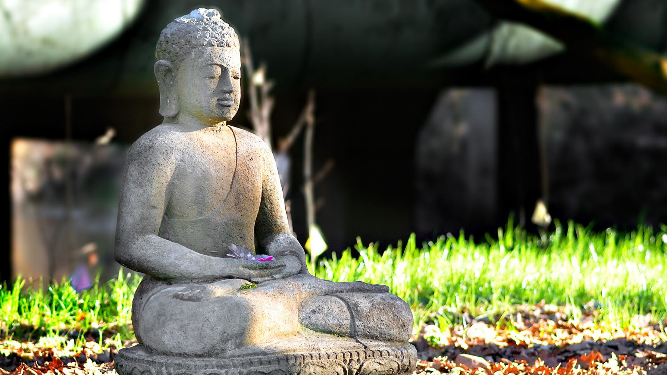 Statua del Buddha, Giardino, Erba, Luce del sole, Full HD, sfondo per portatile