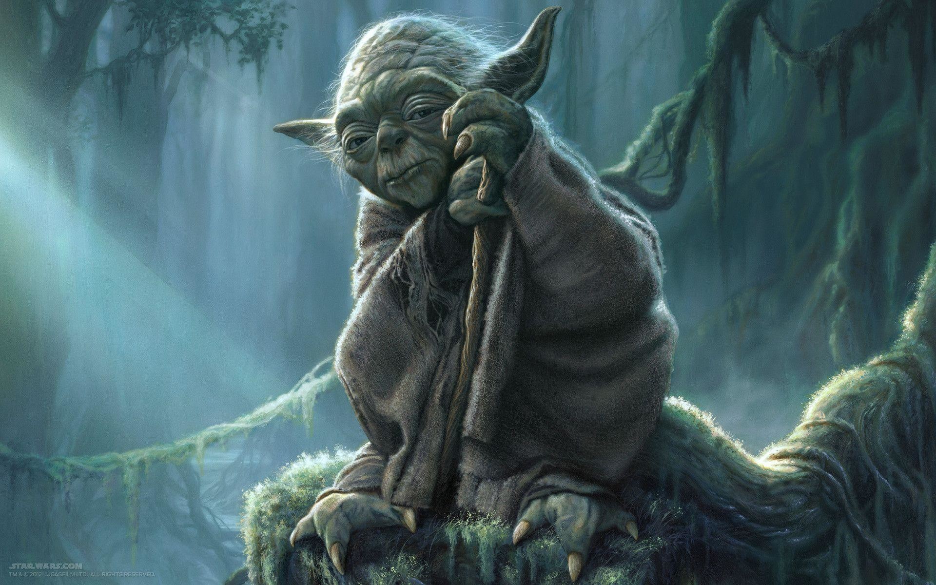 Yoda, Star Wars, Dagobah, Bastone, Foresta, 1920x1200, sfondo per PC