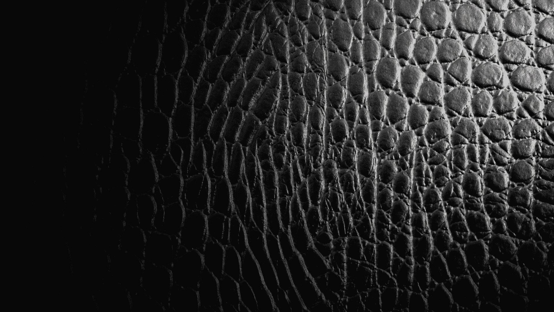 Pelle, Texture, Nero, Coccodrillo, Full HD 1080p, sfondo desktop