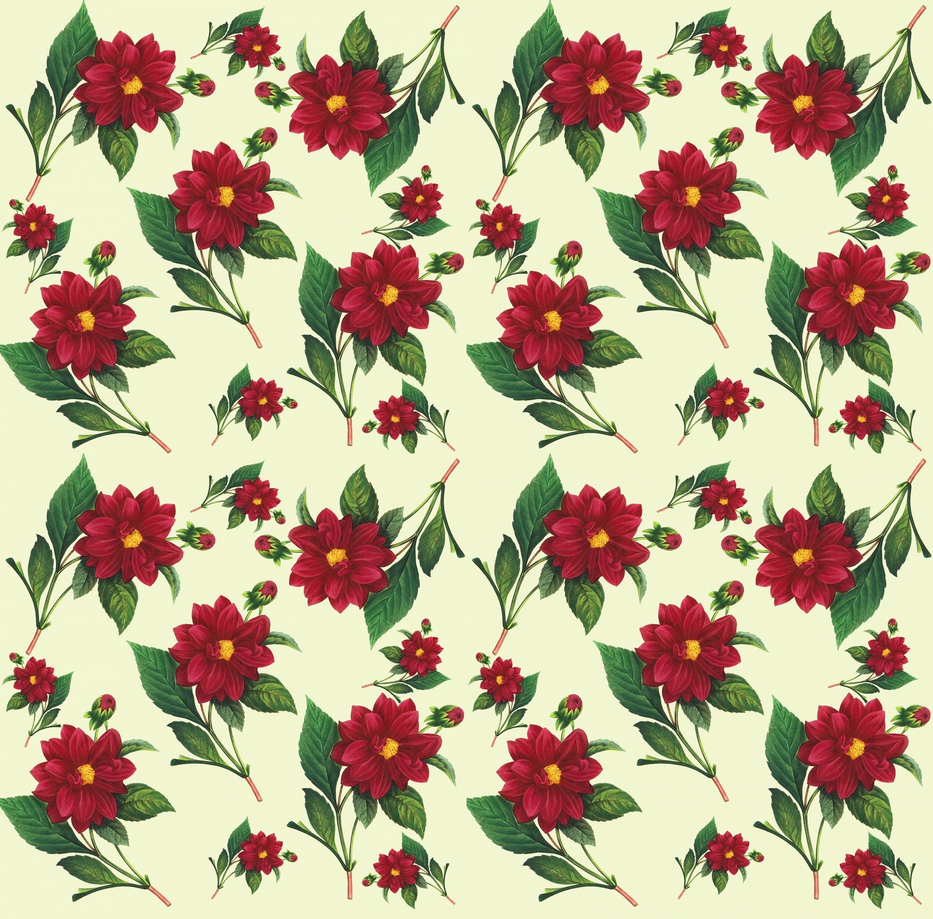 Fiori rossi, Motivo floreale, Sfondo crema, Full HD, schermata di blocco iPad