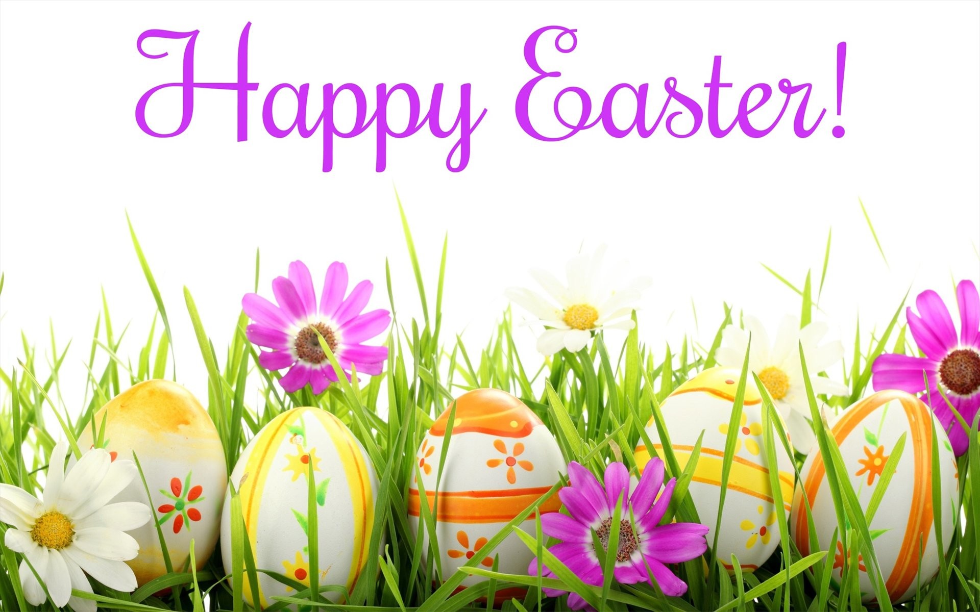 Happy Easter, Uova di Pasqua, Fiori, Erba, 1920x1200, sfondo MacBook Pro