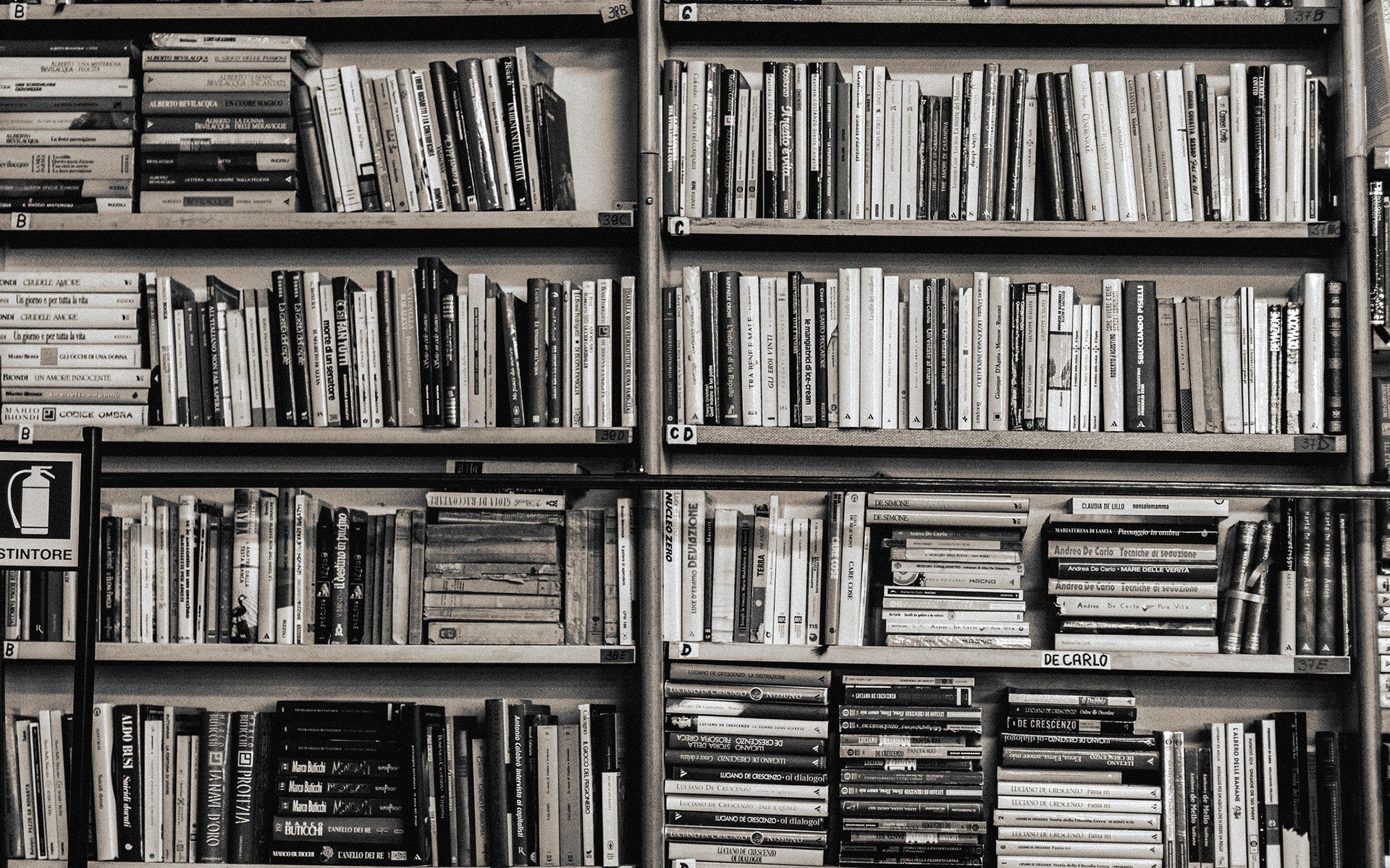 Libreria, Scaffali, Libri, Bianco e nero, Full HD, sfondo desktop