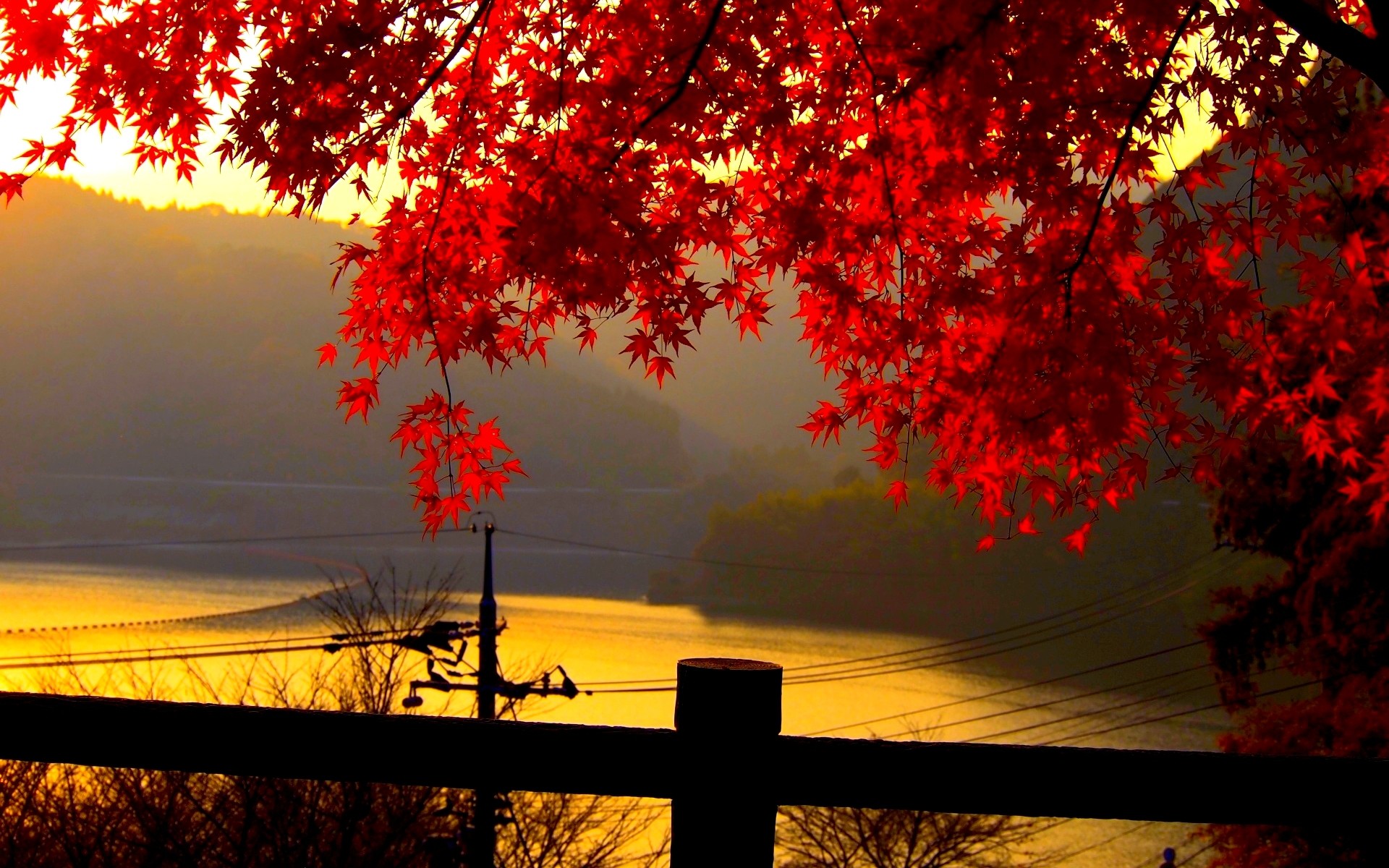 Foglie d'acero rosse, Tramonto, Staccionata, Lago, 16:10 Full HD, sfondo widescreen