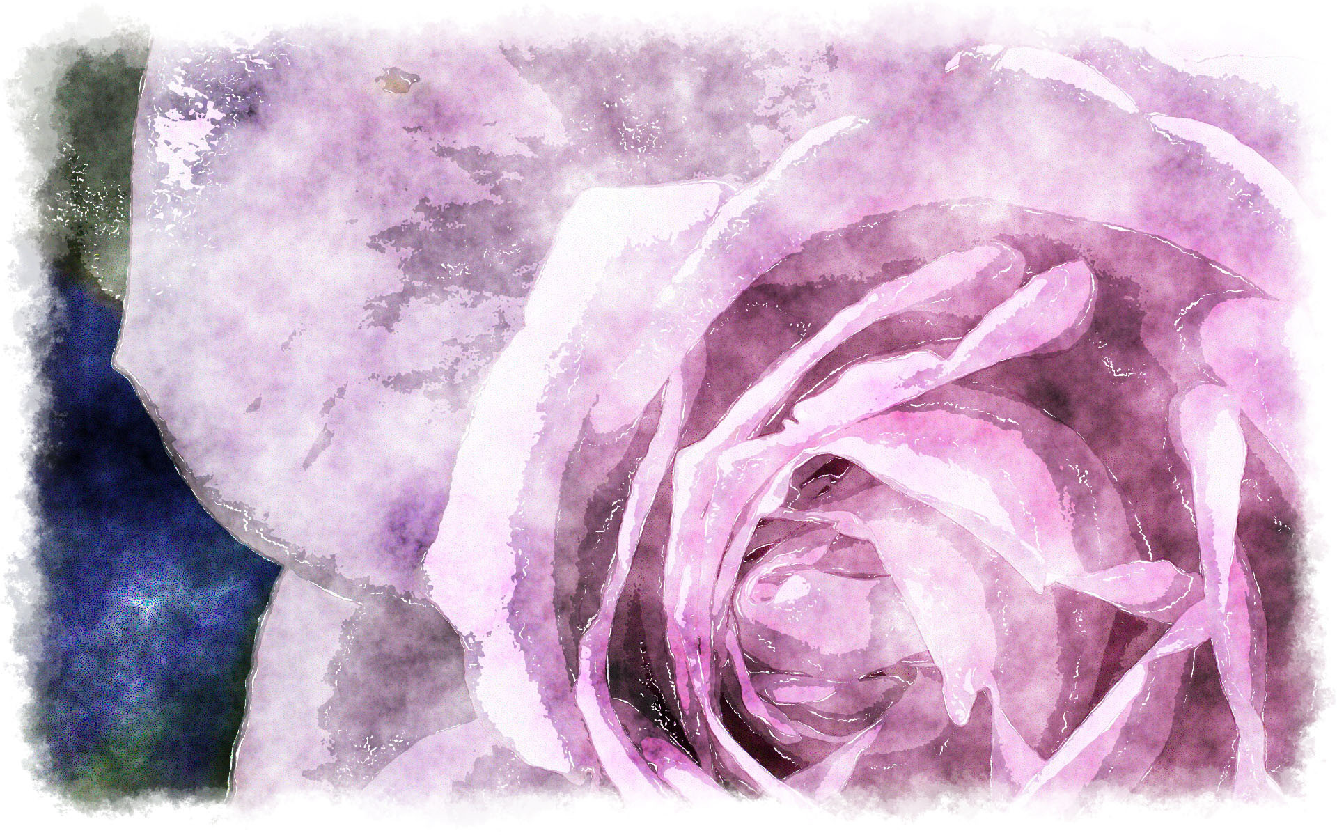 Rosa, Acquerello, Lilla, Primo piano, 1920x1199, sfondo MacBook Pro