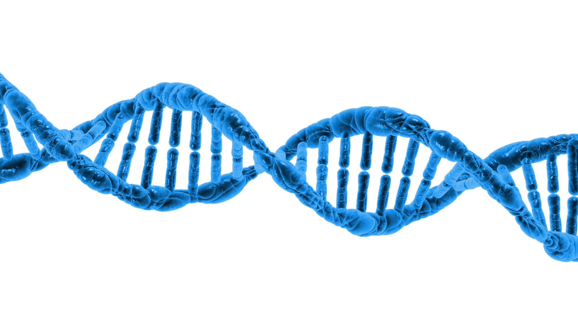 DNA, Doppia elica, Blu, Sfondo bianco, 1920x1080, wallpaper desktop