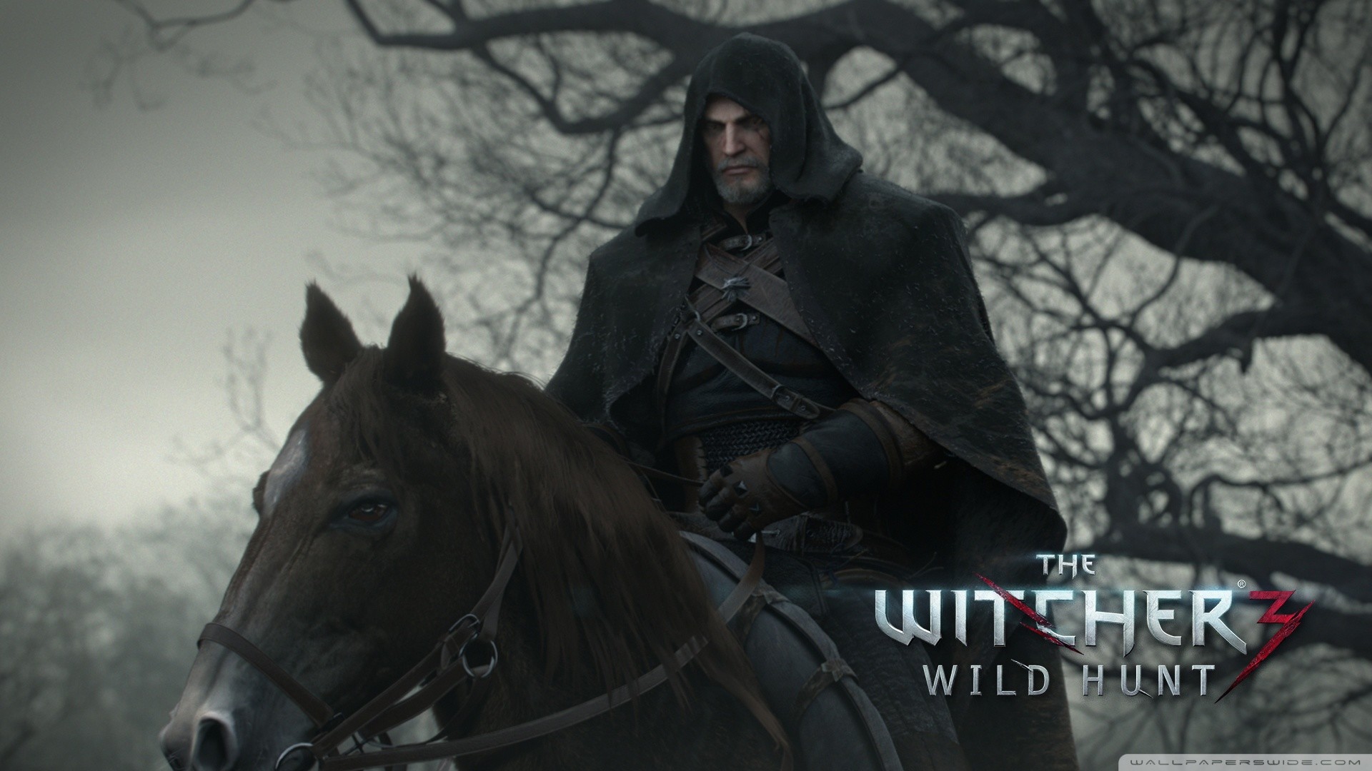 Geralt di Rivia, Rutilia, The Witcher 3: Wild Hunt, A cavallo, Bianco e nero, sfondo desktop
