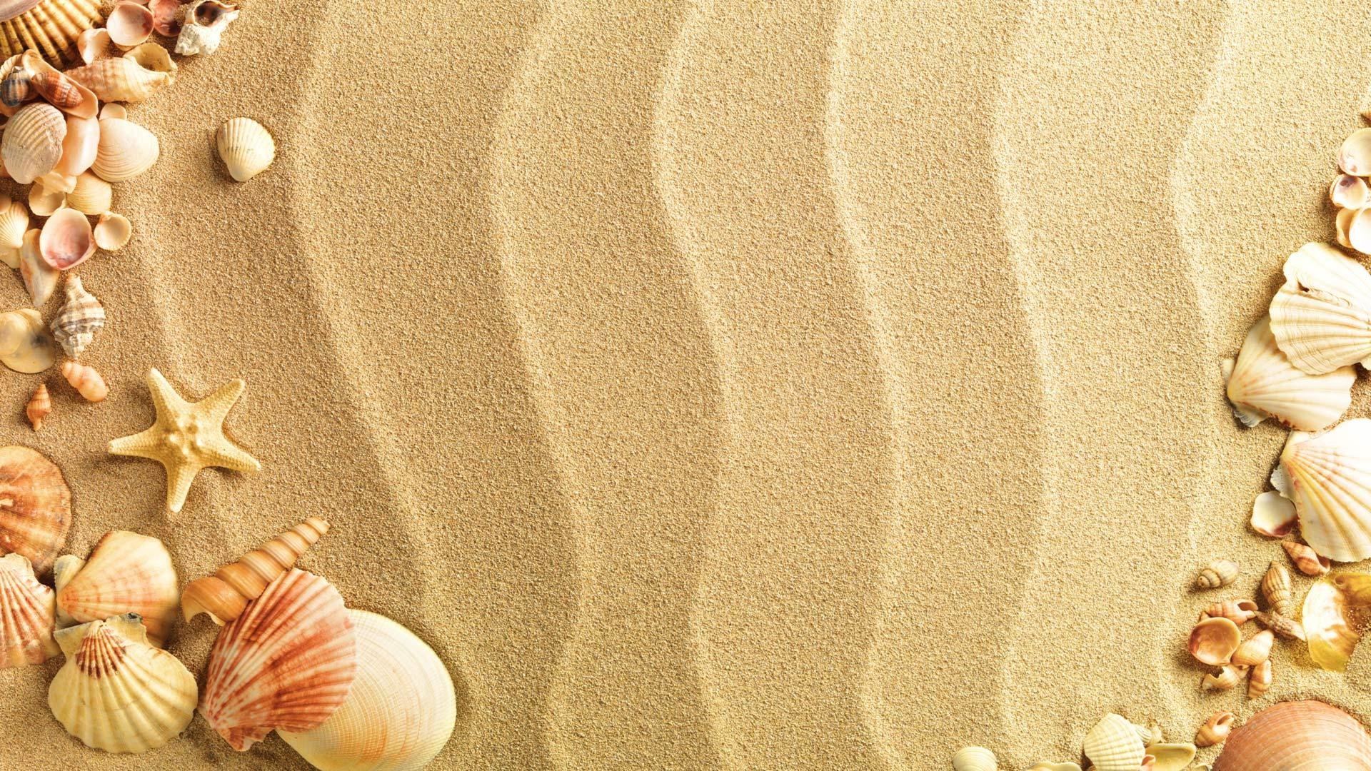 Conchiglie, Stella marina, Sabbia ondulata, Cornice, Full HD, sfondo per PC e portatile
