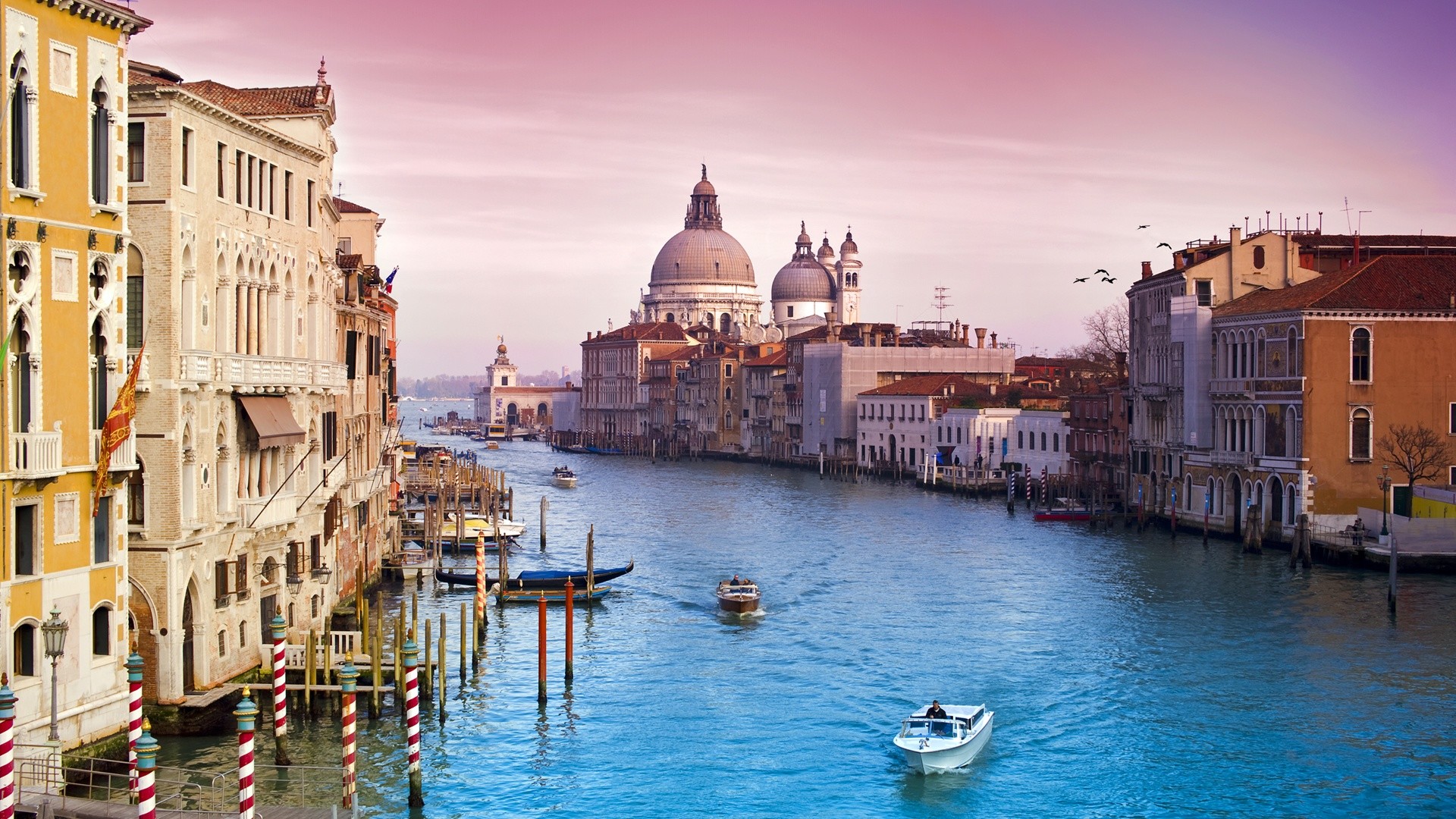 Canal Grande, Santa Maria della Salute, Venezia, Italia, Gondole, sfondo PC