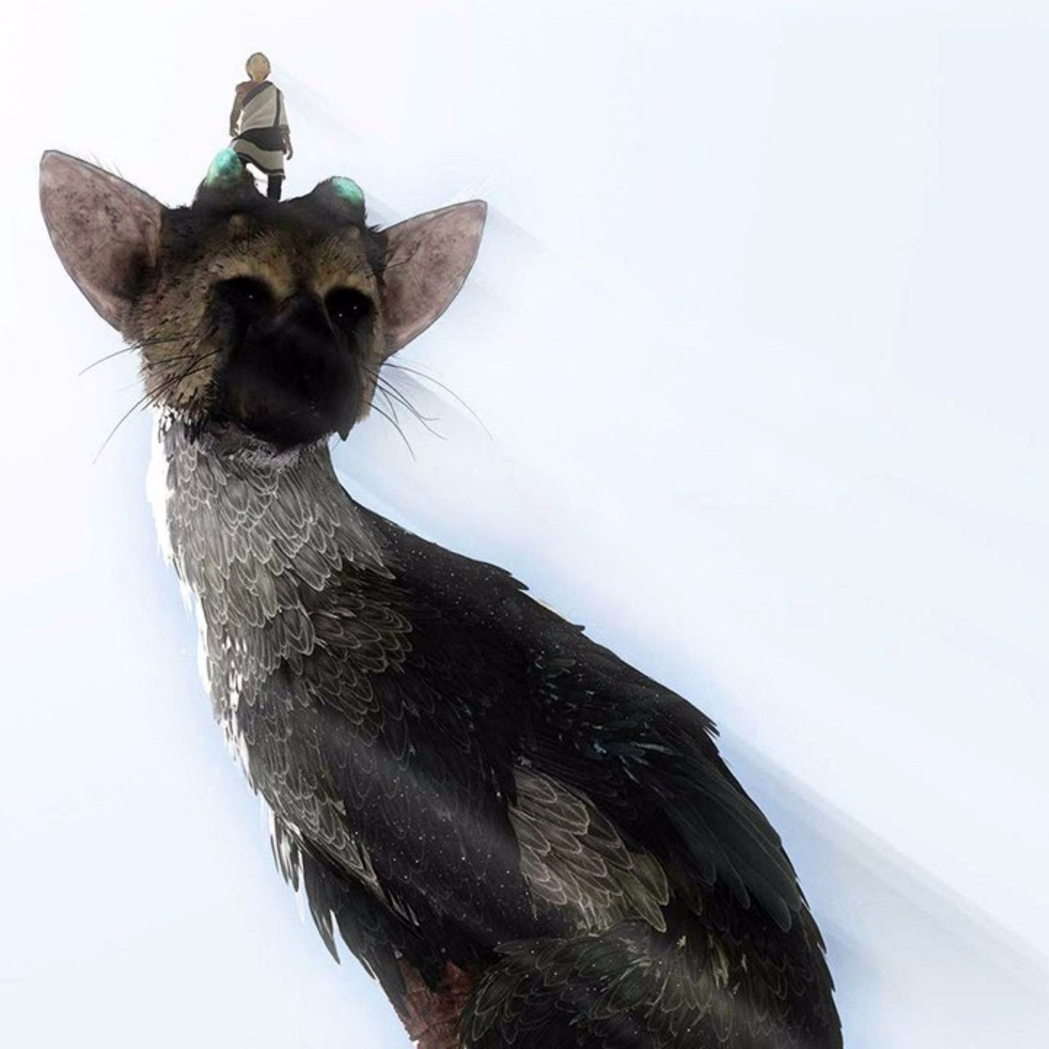 Trico, The Last Guardian, Ragazzo, Sfondo bianco, Full HD, schermata di blocco iPad
