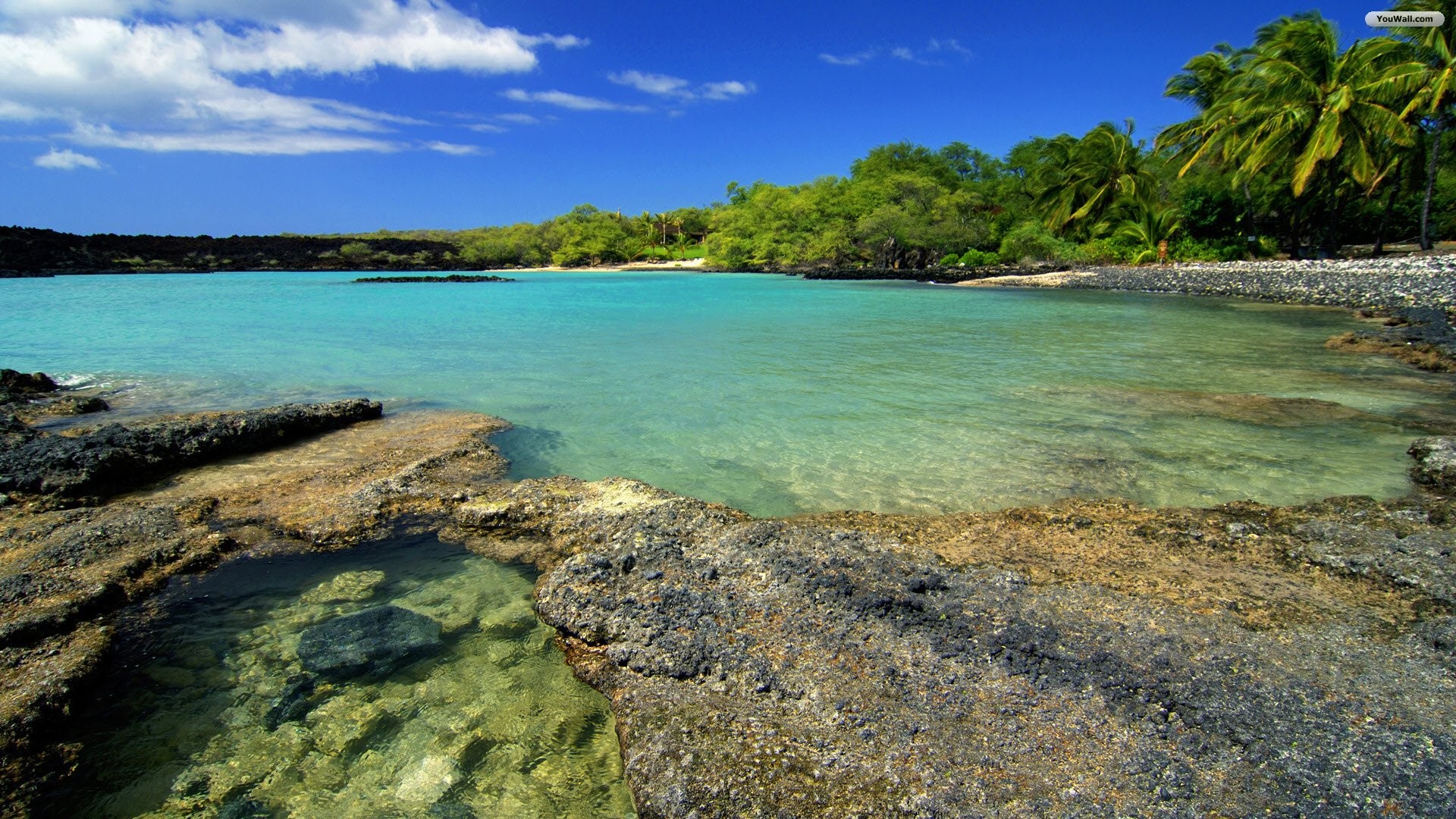 Mare, Laguna, Costa rocciosa, Palme, Acqua turchese, Full HD, sfondo per PC e portatile