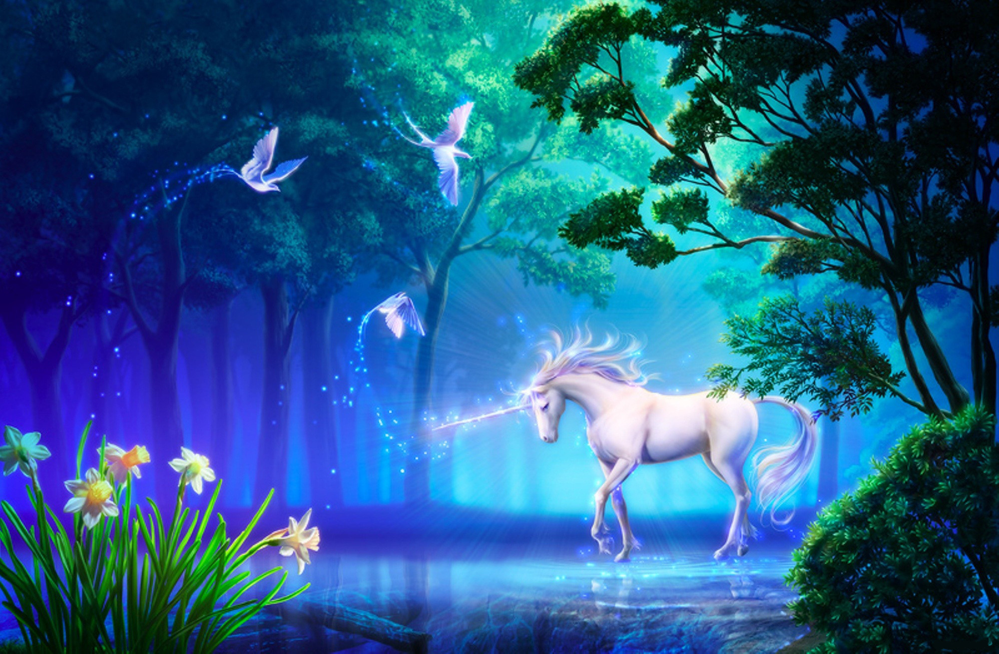 Unicorno, Foresta incantata, Uccelli, Notte, Fantasy, Full HD, sfondo desktop