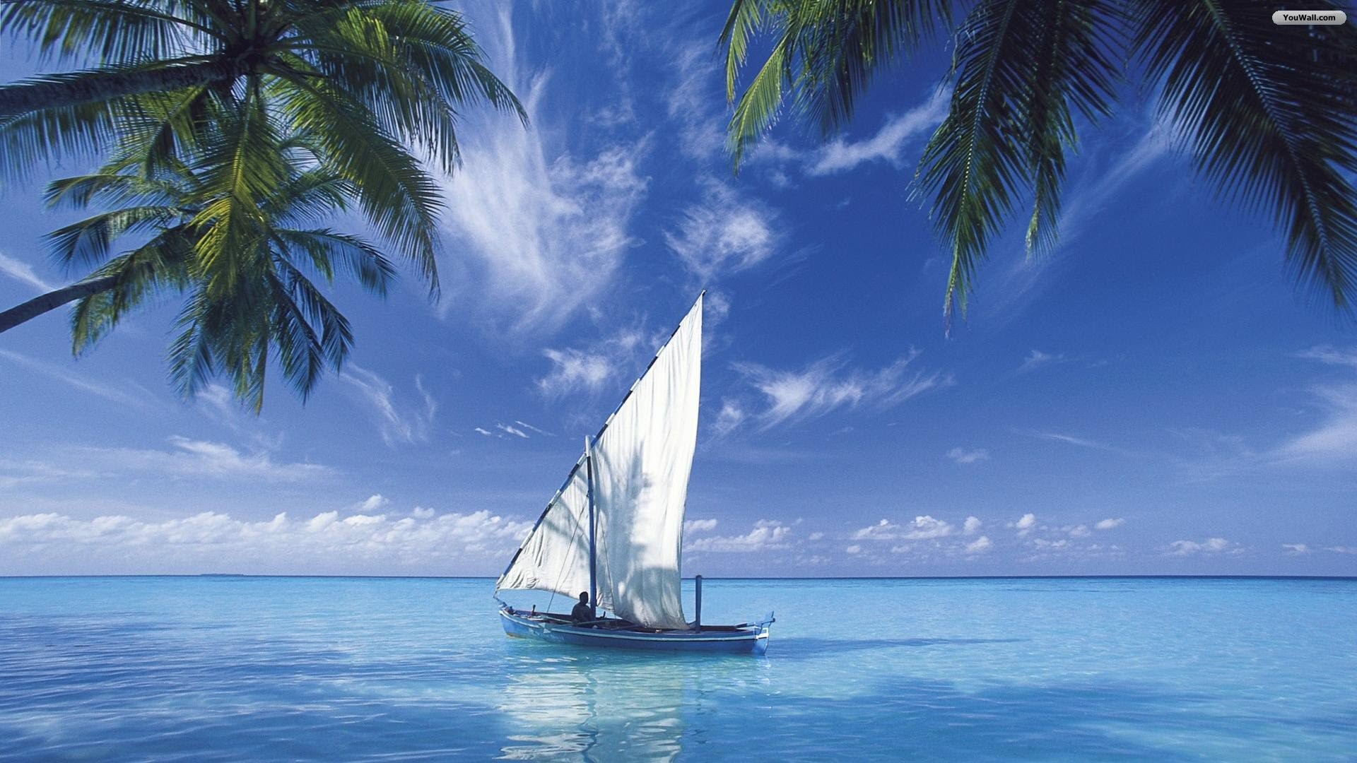 Mare, Dhoni, Maldive, Palme, Vela, Full HD 1080p, sfondo desktop