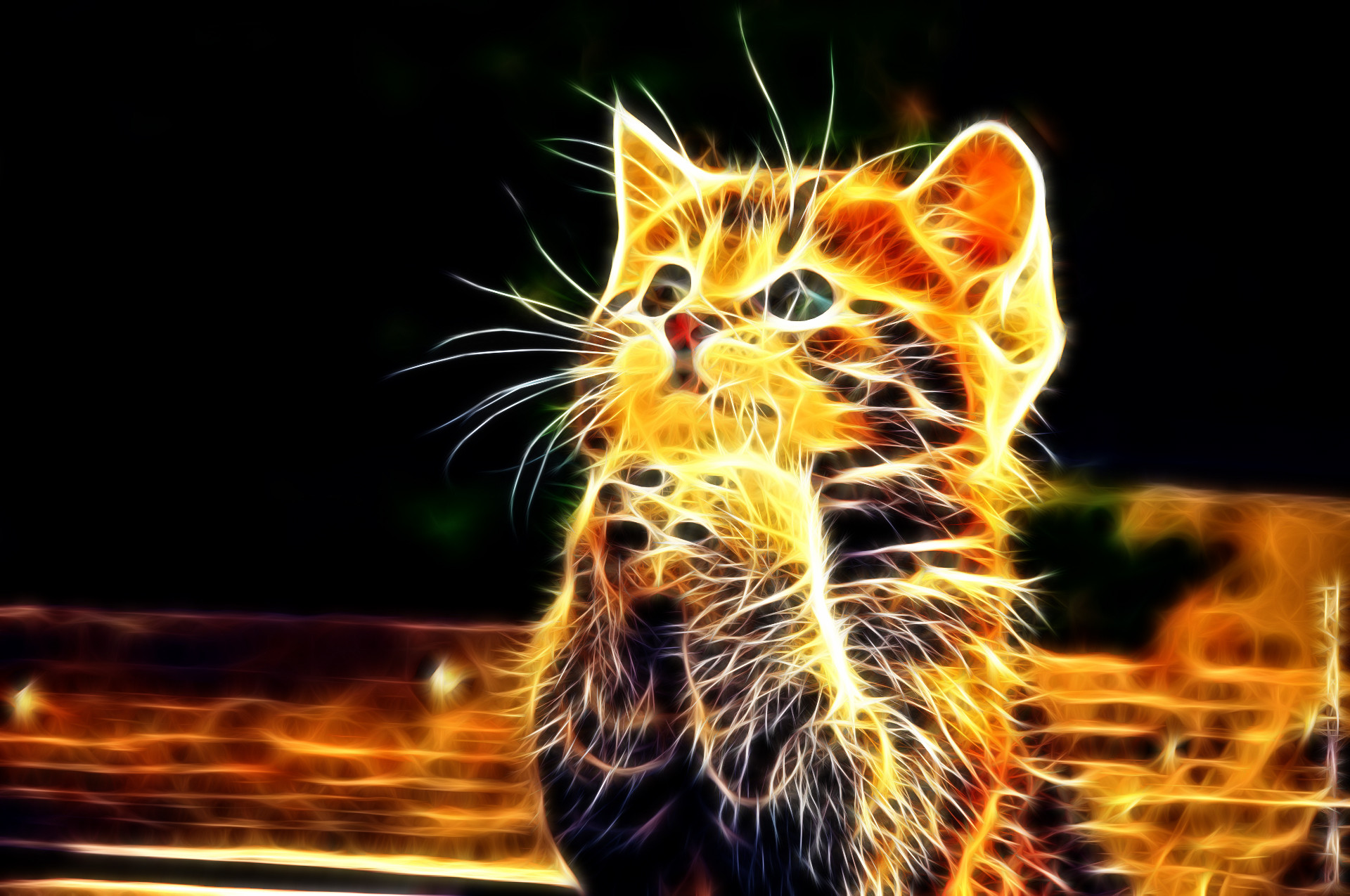Gattino, Arte frattale, Sfondo nero, Full HD, wallpaper per portatile