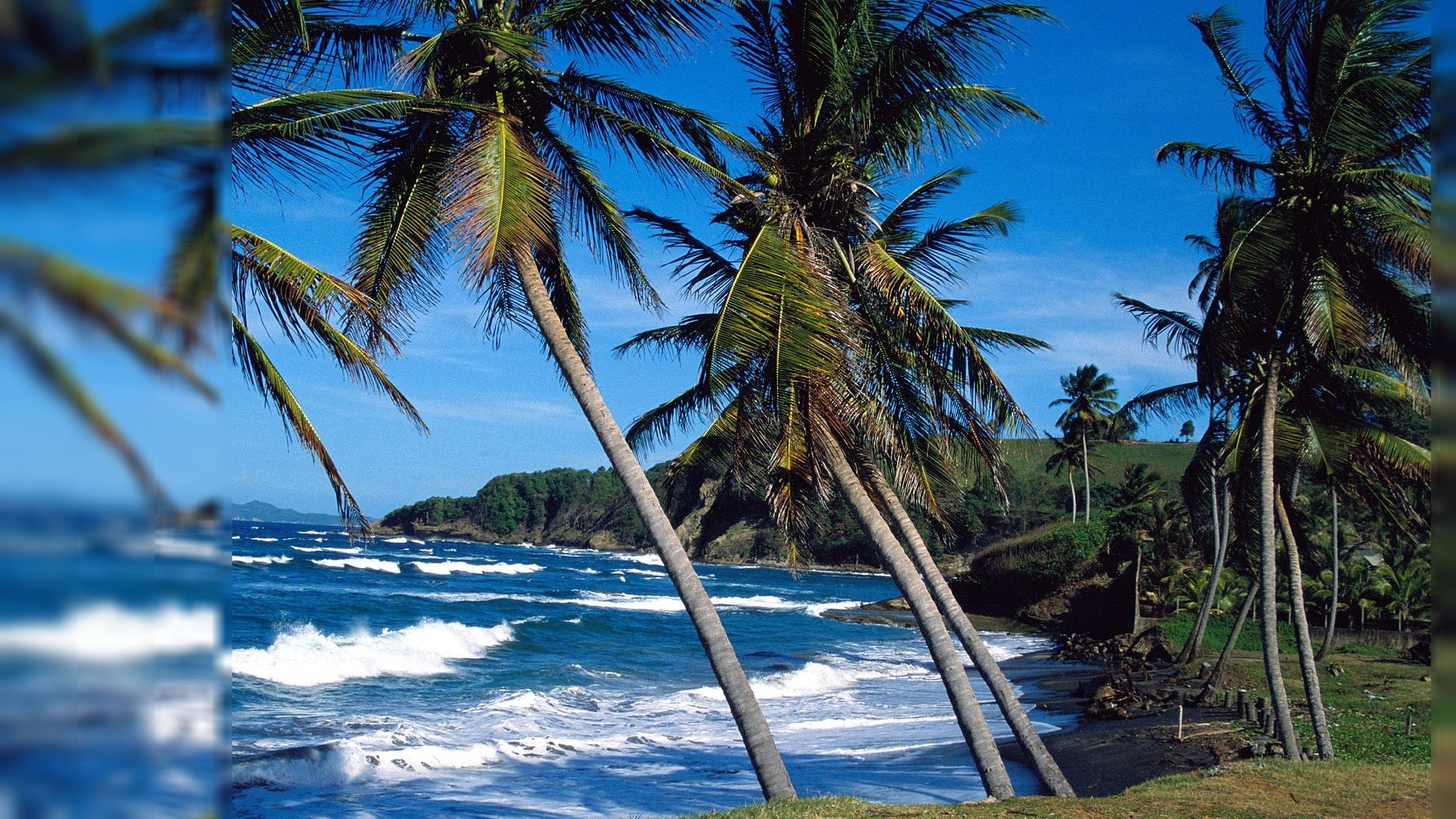 Free Summer Pictures for Desktop, wallpaper, Free Summer Pictures for ., sfondo Full HD per computer