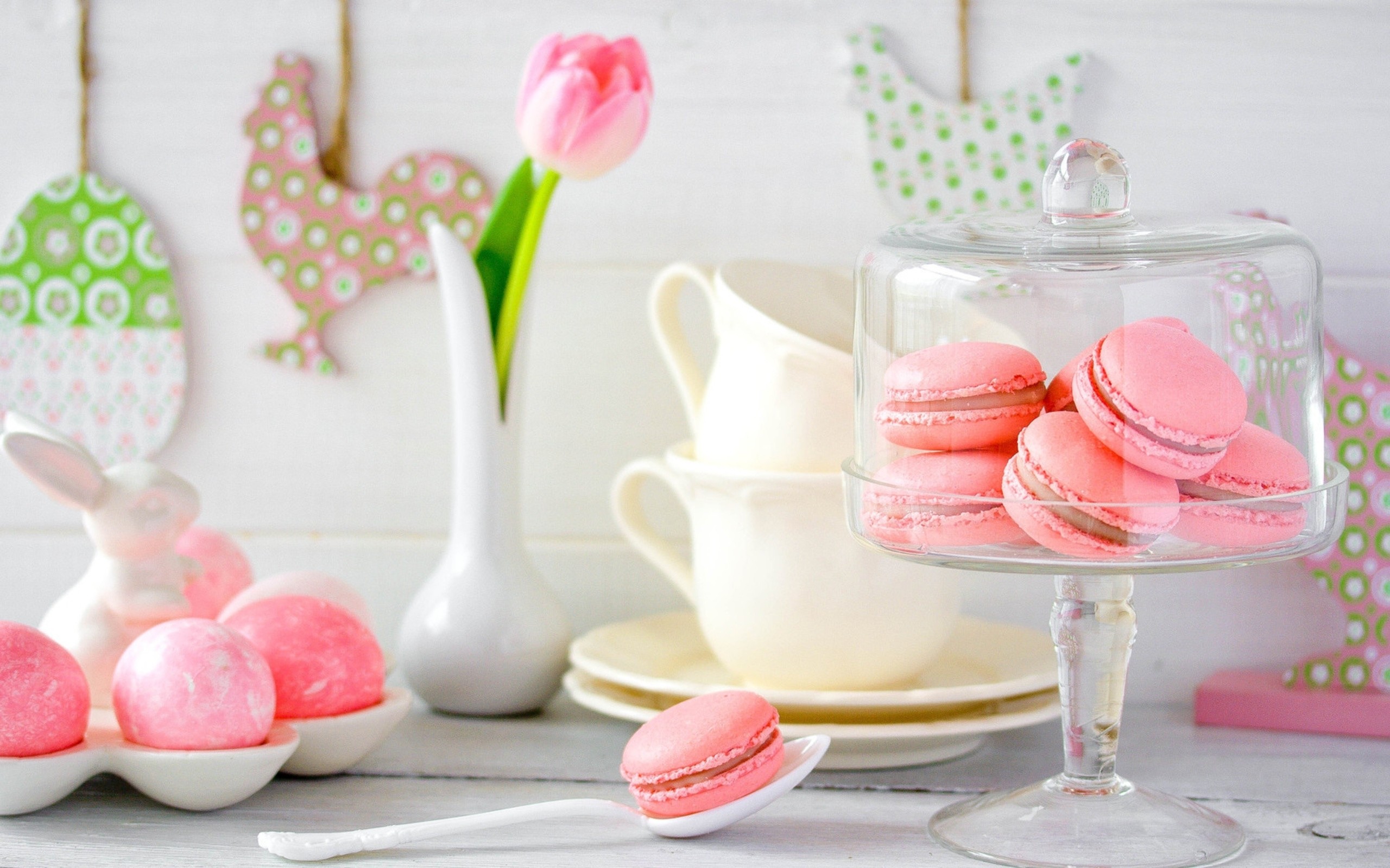 Macarons rosa, Alzatina, Tulipano, Pasqua, 16:10 2K, sfondo widescreen