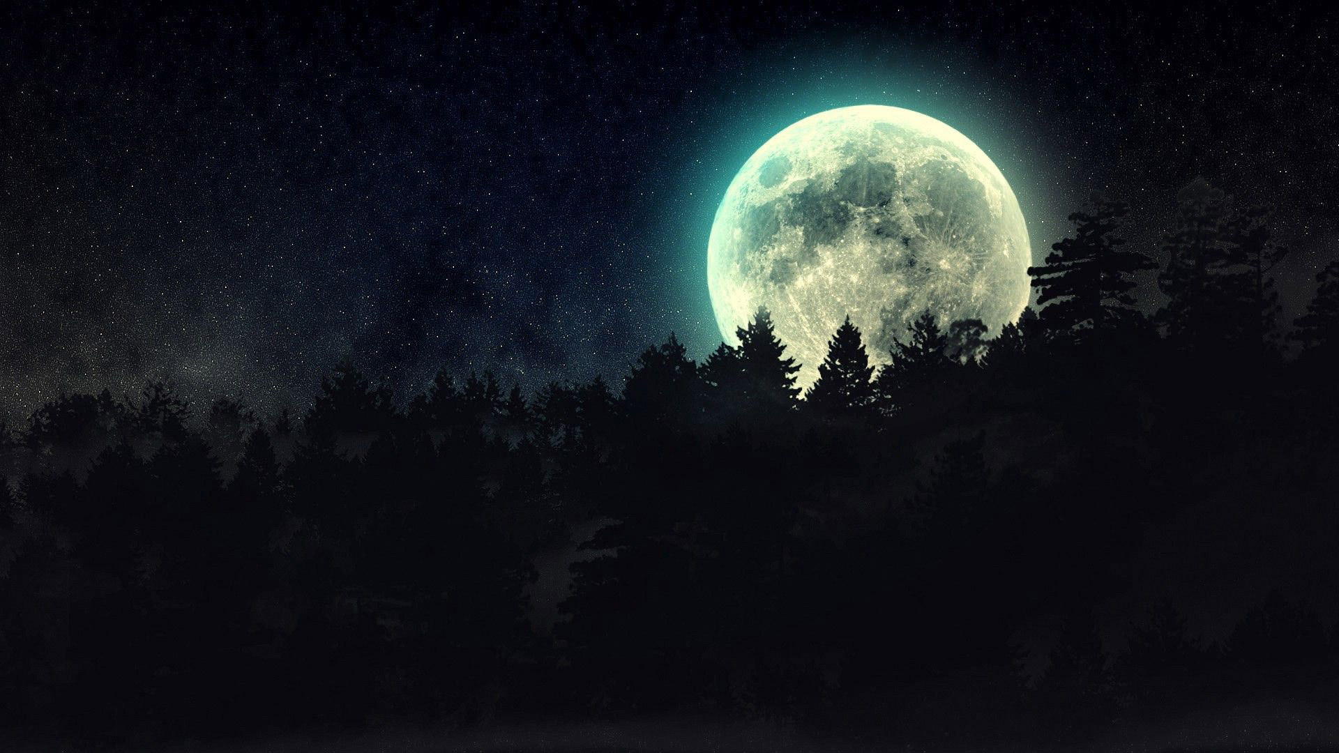 Luna piena, Foresta, Notte, Silhouette alberi, Full HD, sfondo per portatile