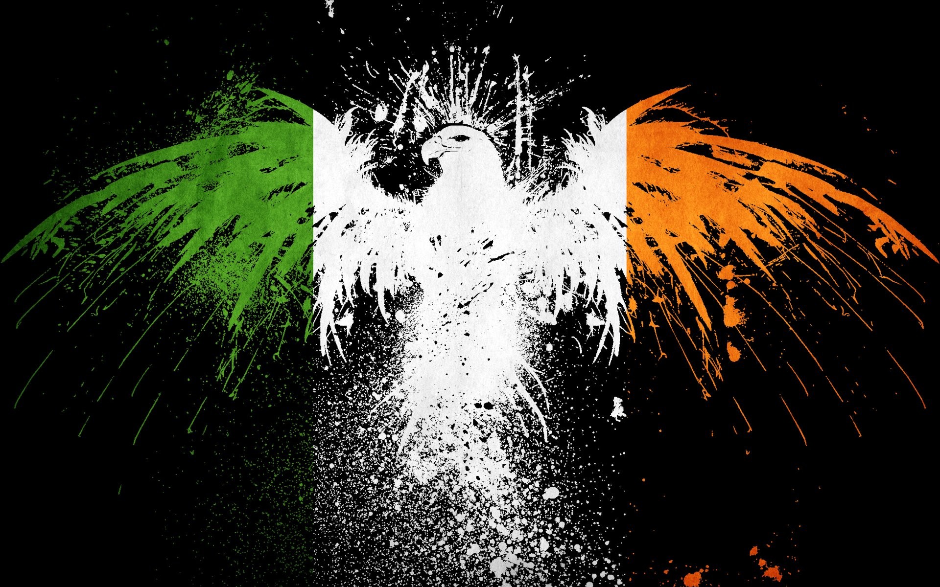 Bandiera dell'Irlanda, Aquila, Schizzi, Sfondo nero, 16:10 Full HD, wallpaper widescreen