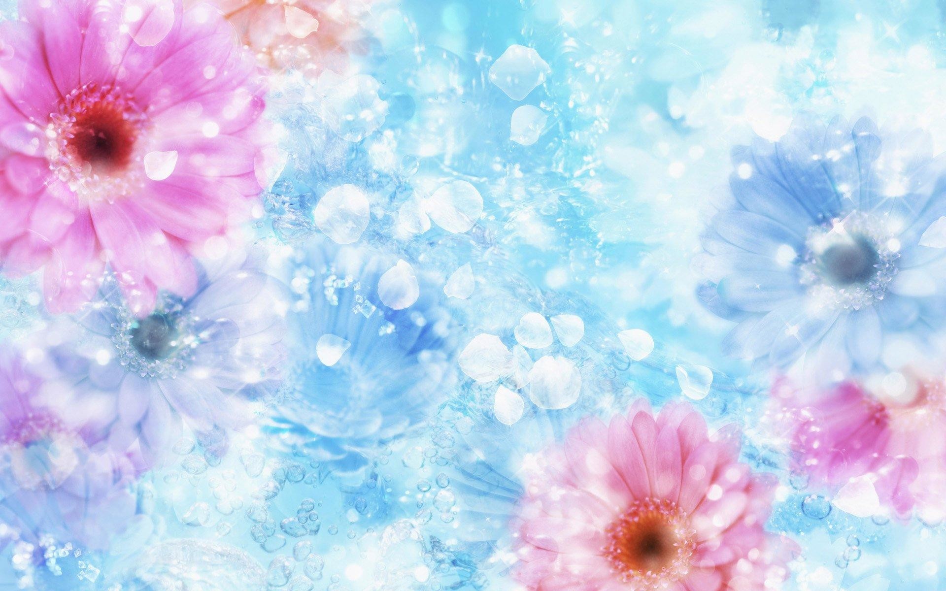 Gerbere, Fiori, Acquerello, Azzurro, Rosa, 16:10 Full HD, sfondo widescreen