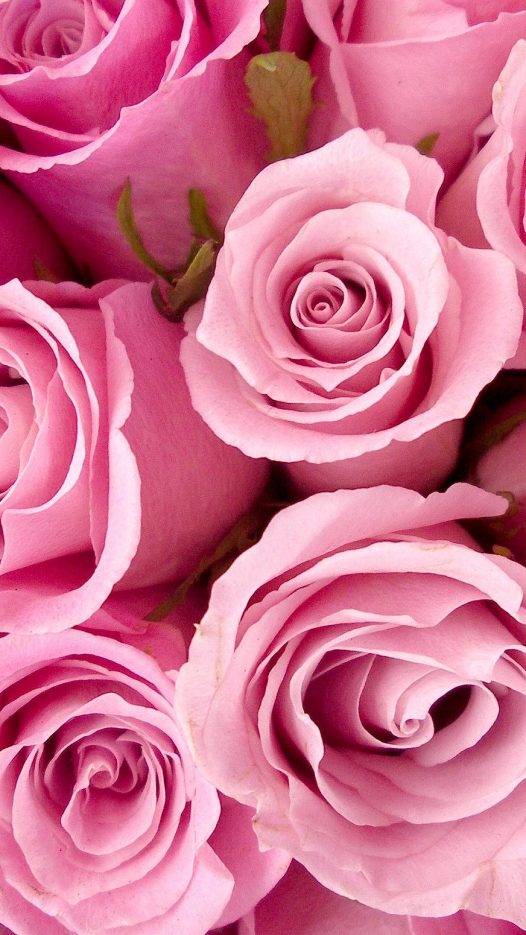 Rose rosa, Fiori, Bouquet, sfondo schermata di blocco iPhone 6