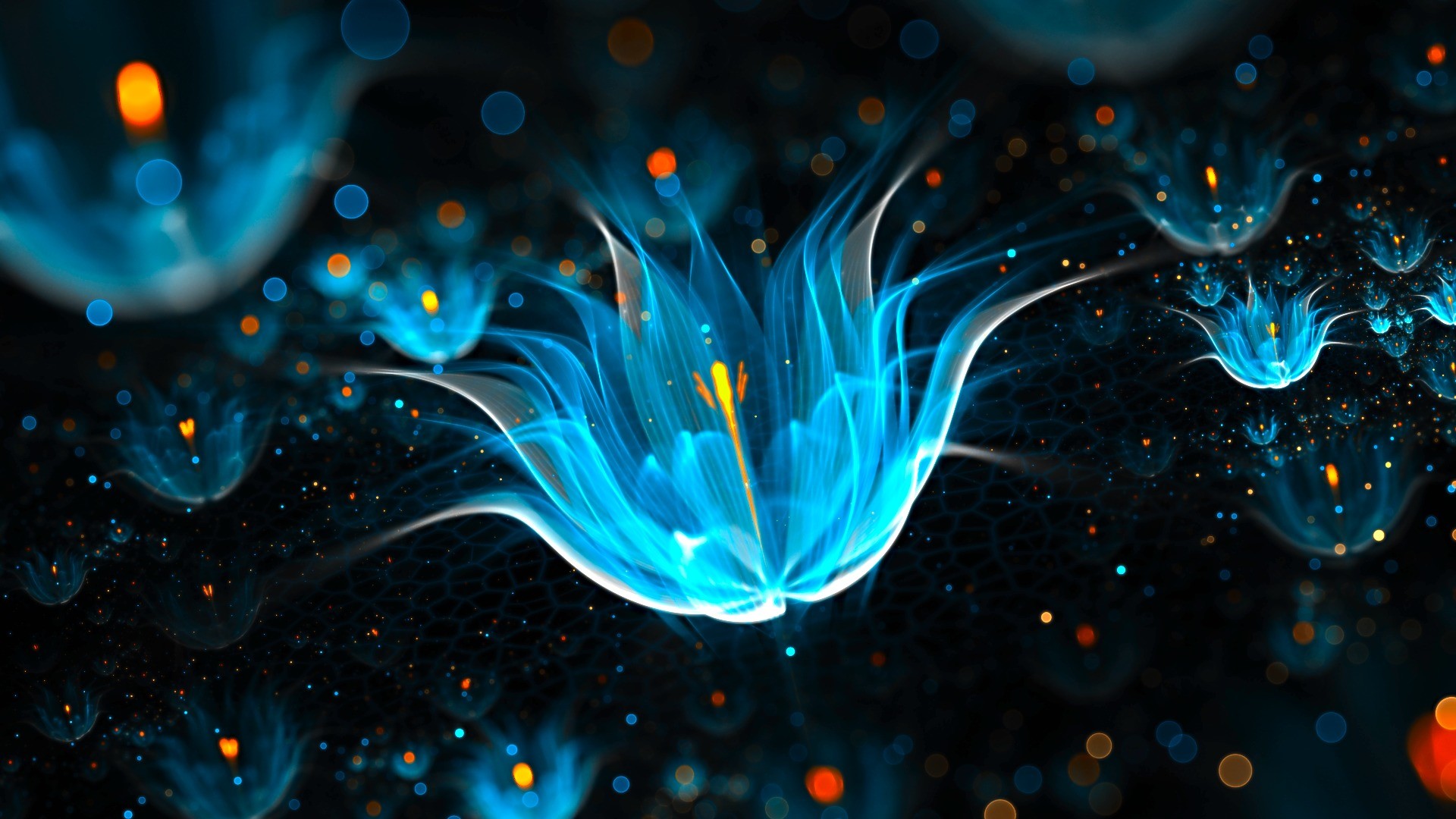 Fiore luminoso, Frattale, Bokeh, Blu, Full HD, sfondo per PC